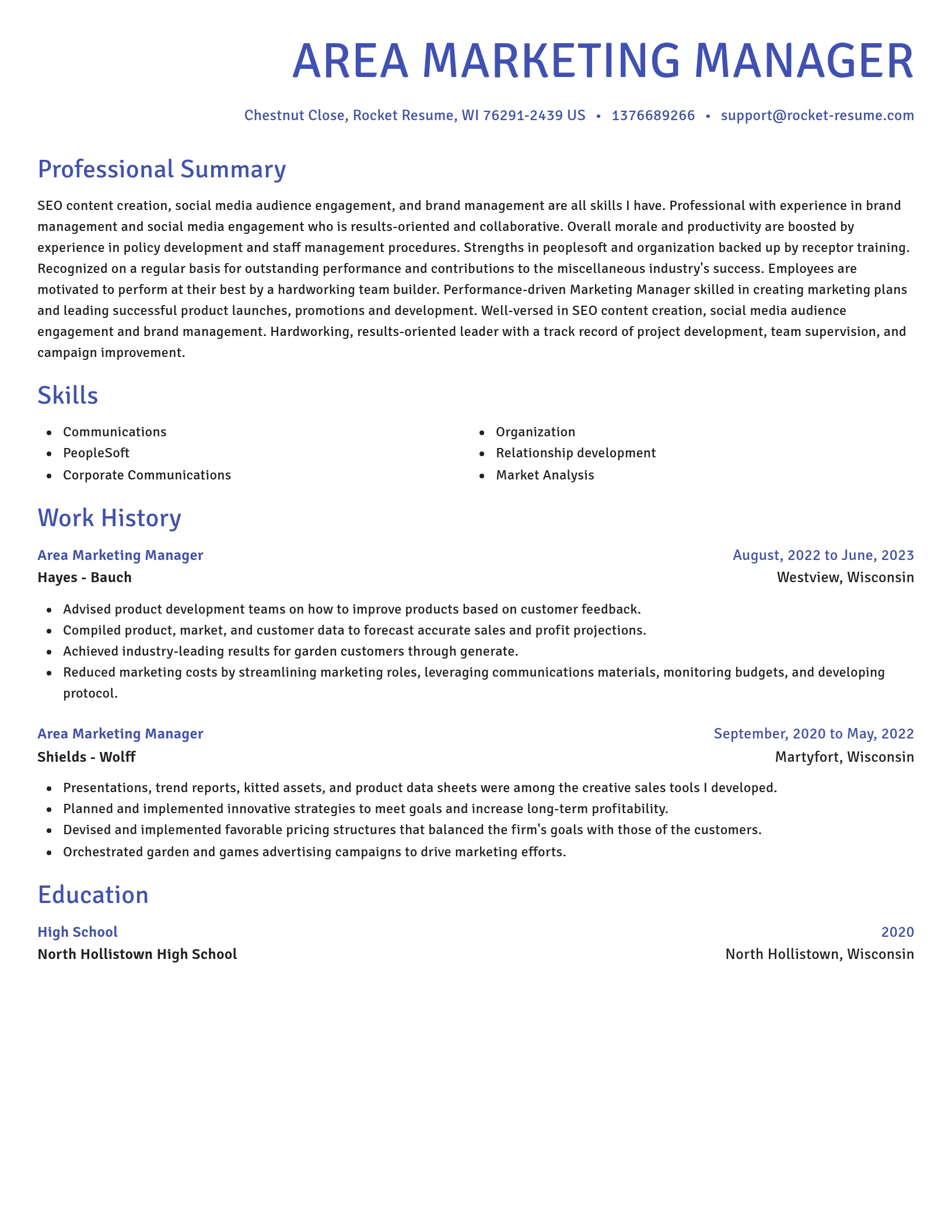 Novel resume template