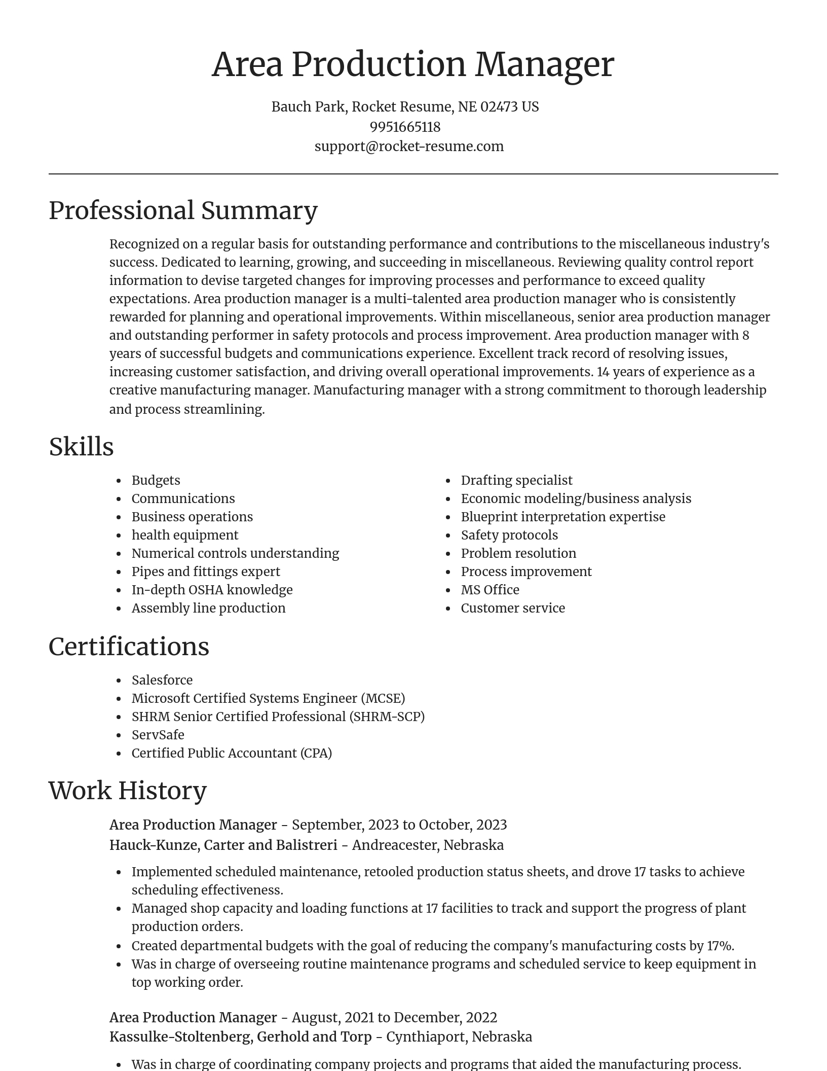 Focal Point resume template