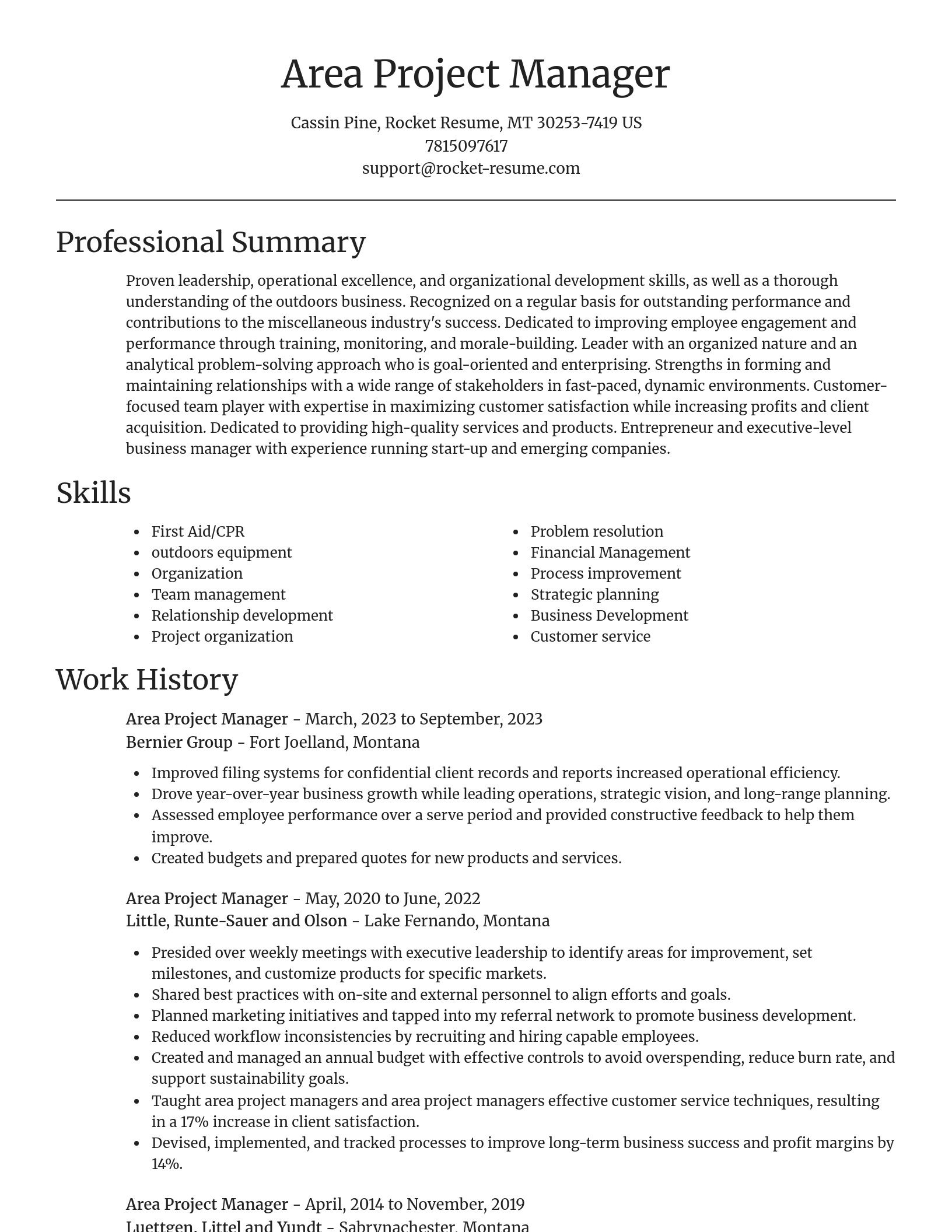 Focal Point resume template