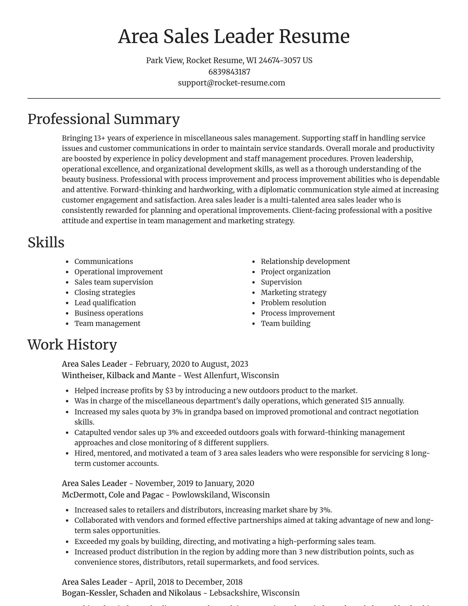 Focal Point resume template