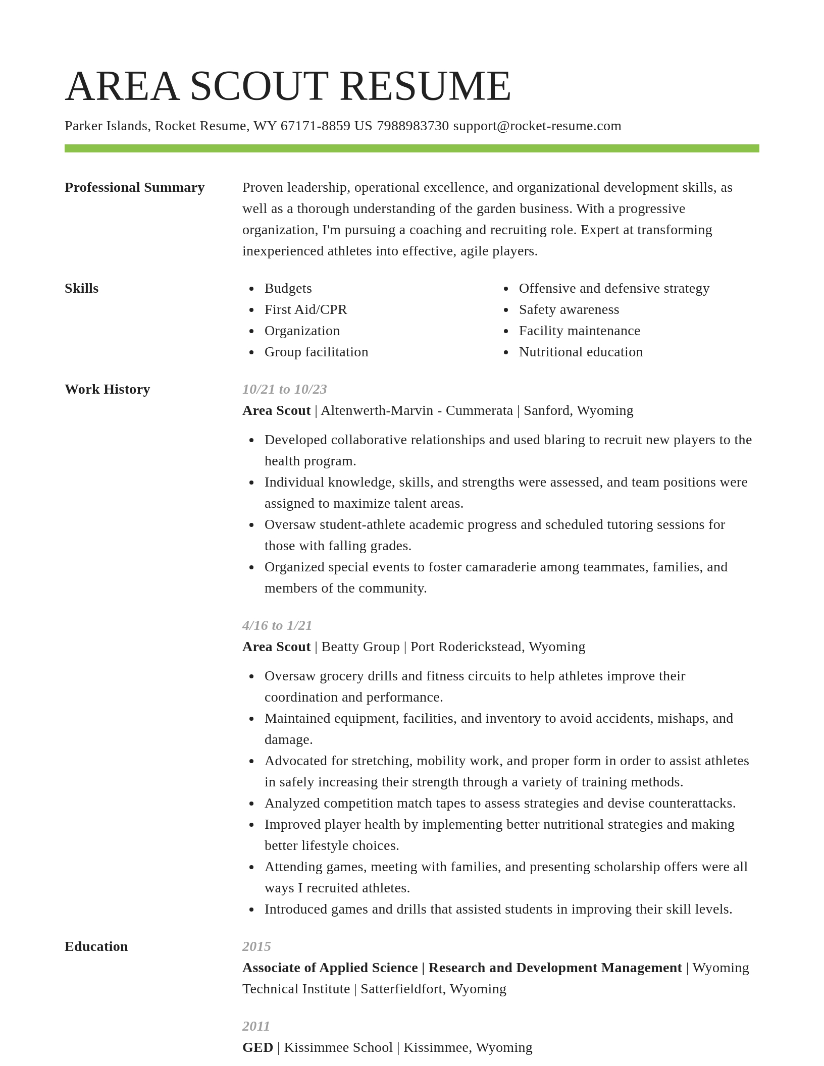 Smart resume template