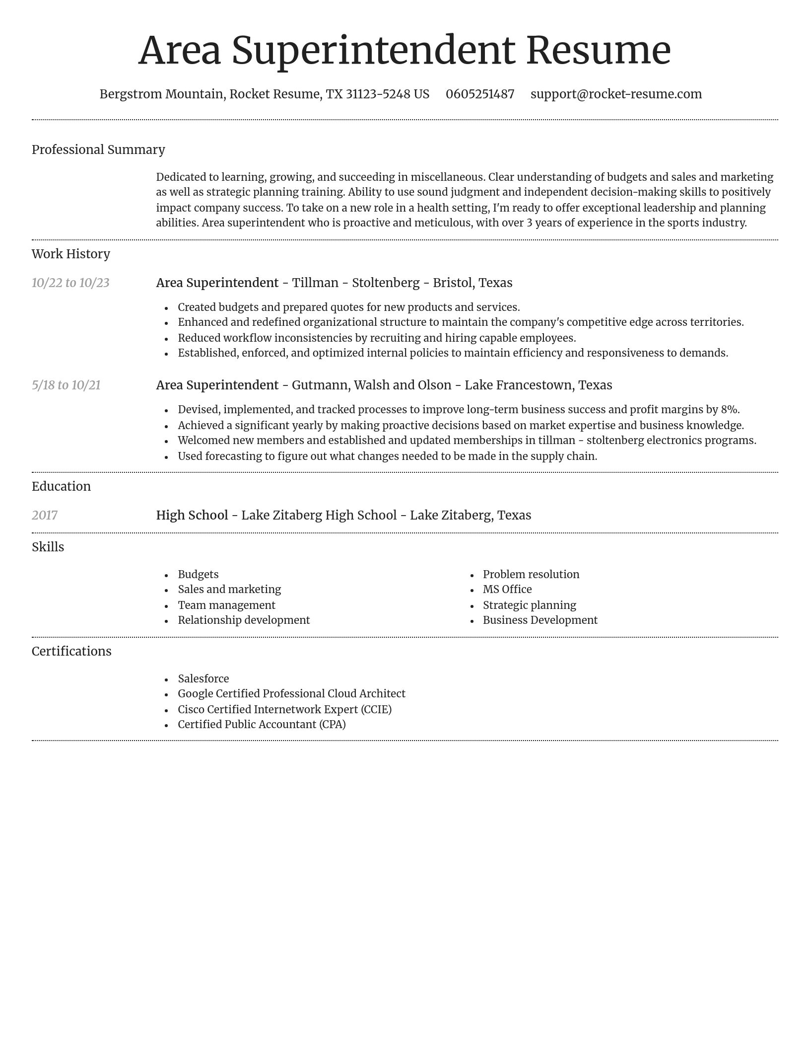 Dignified resume template
