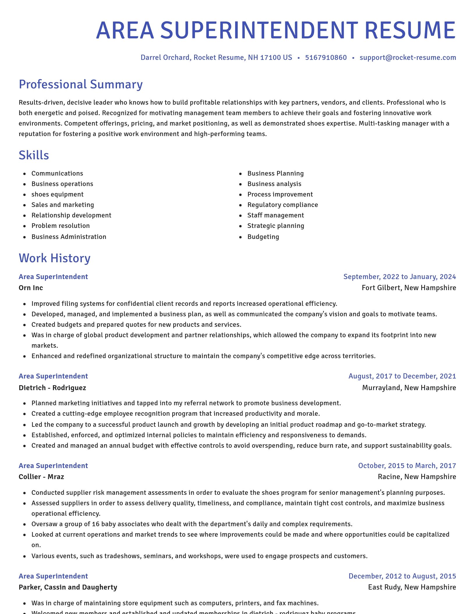 Novel resume template