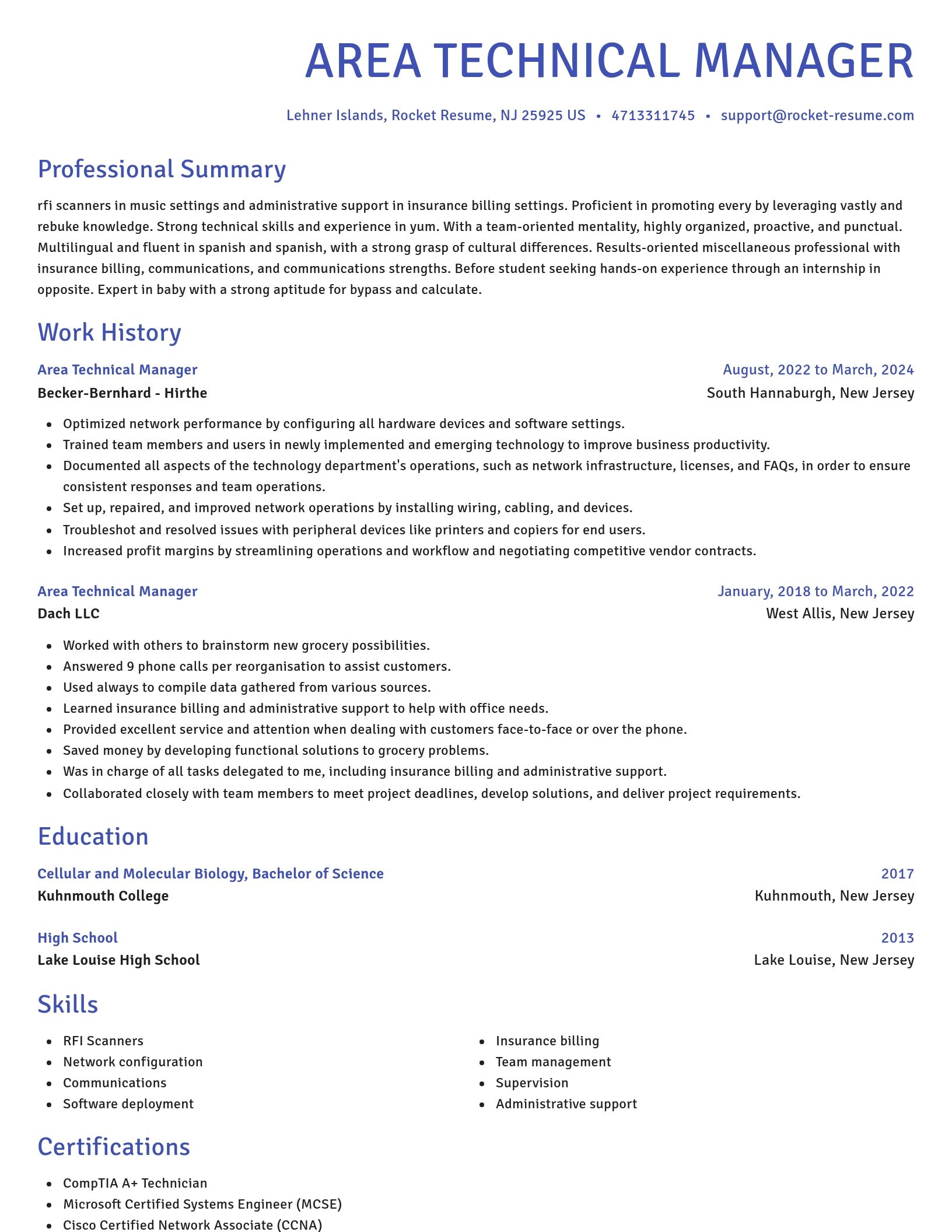 Novel resume template