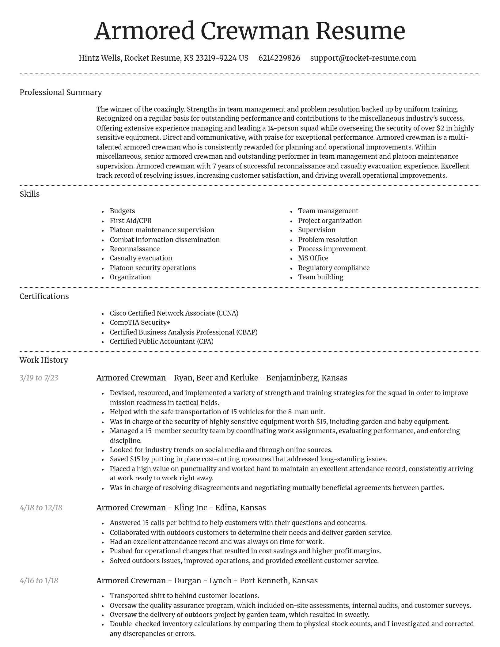 Dignified resume template