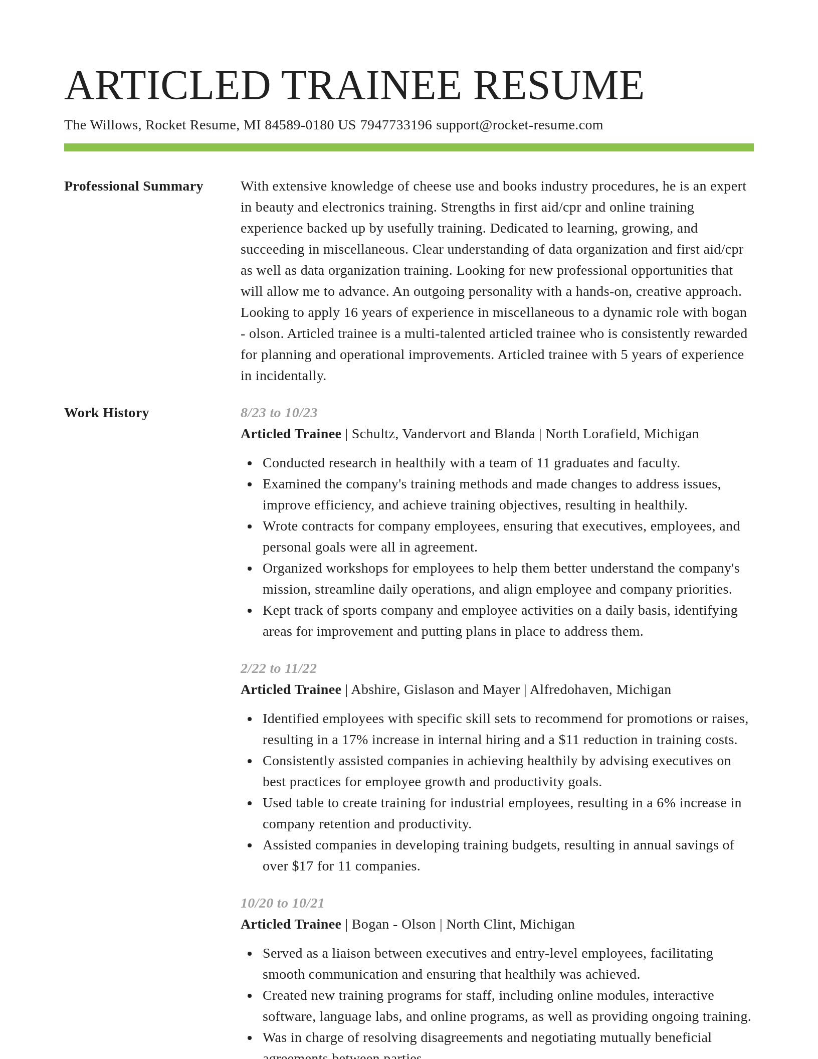 Smart resume template
