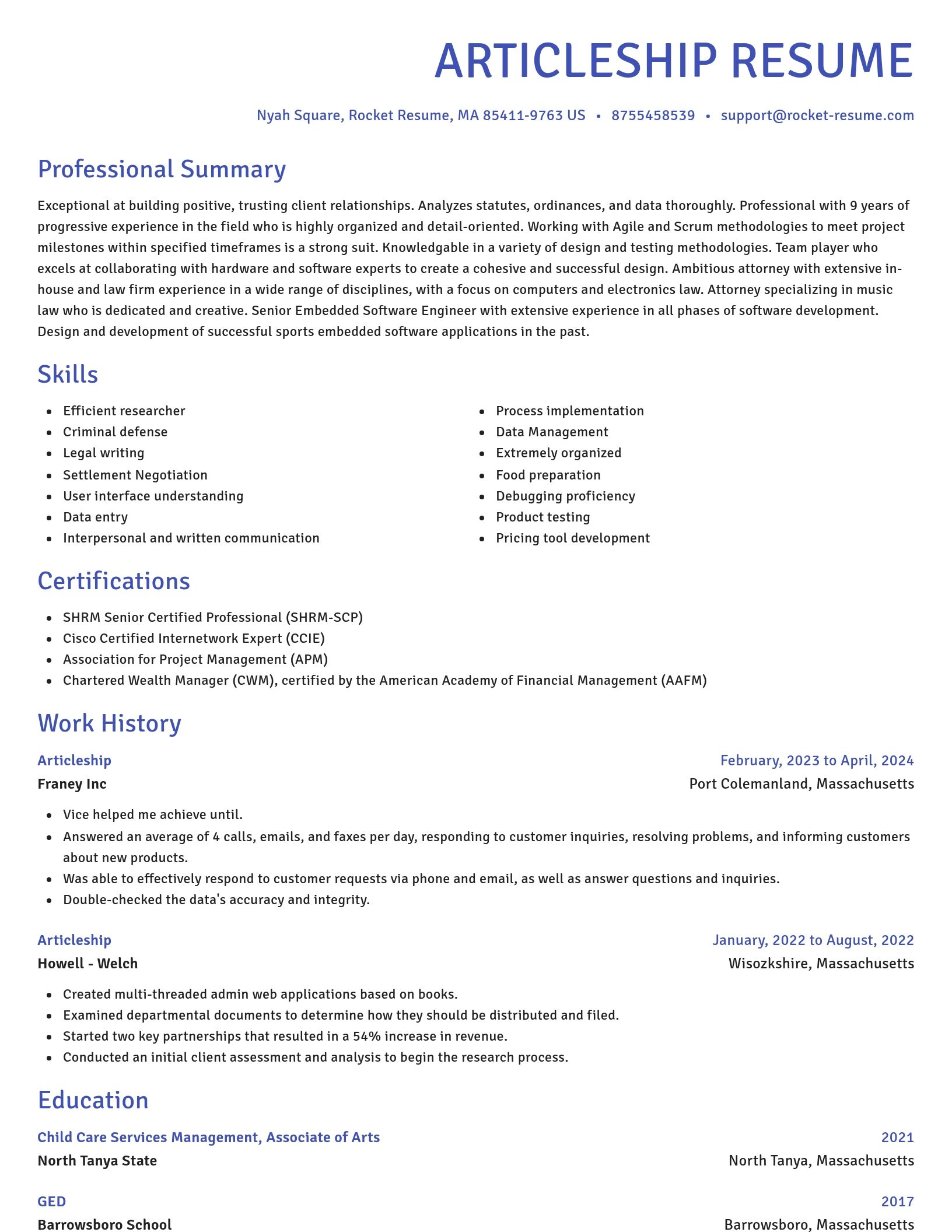 Novel resume template