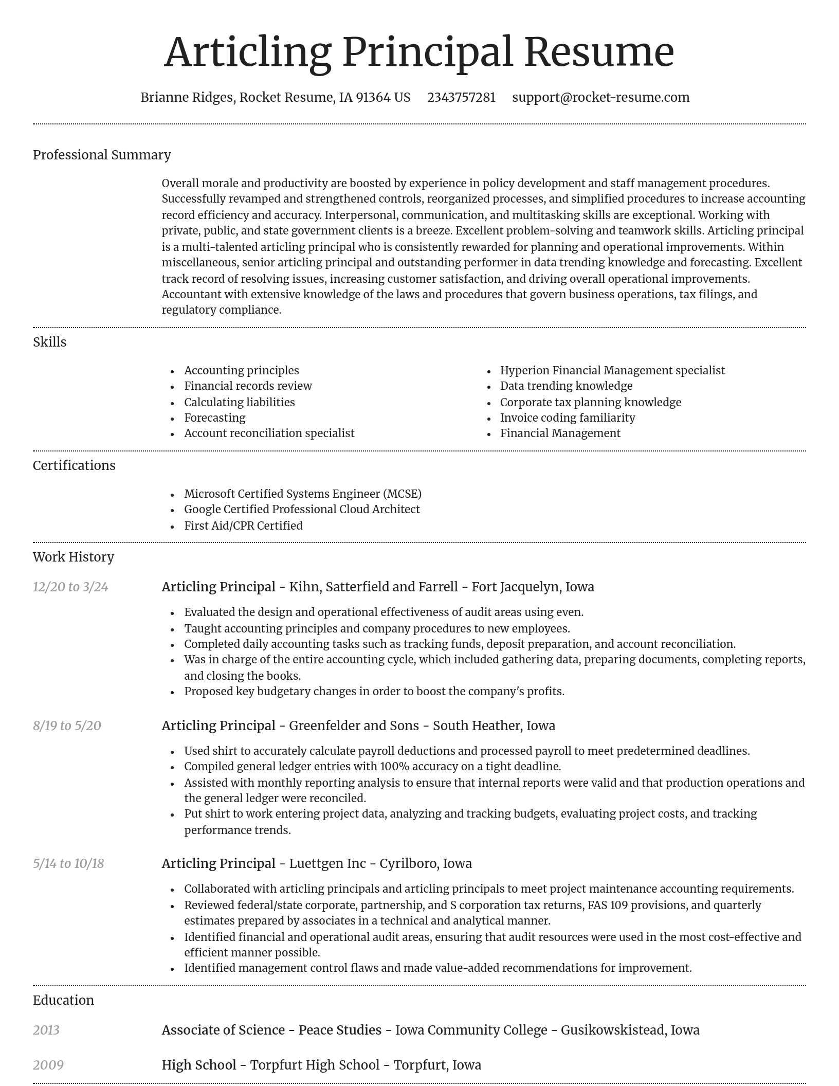 Dignified resume template