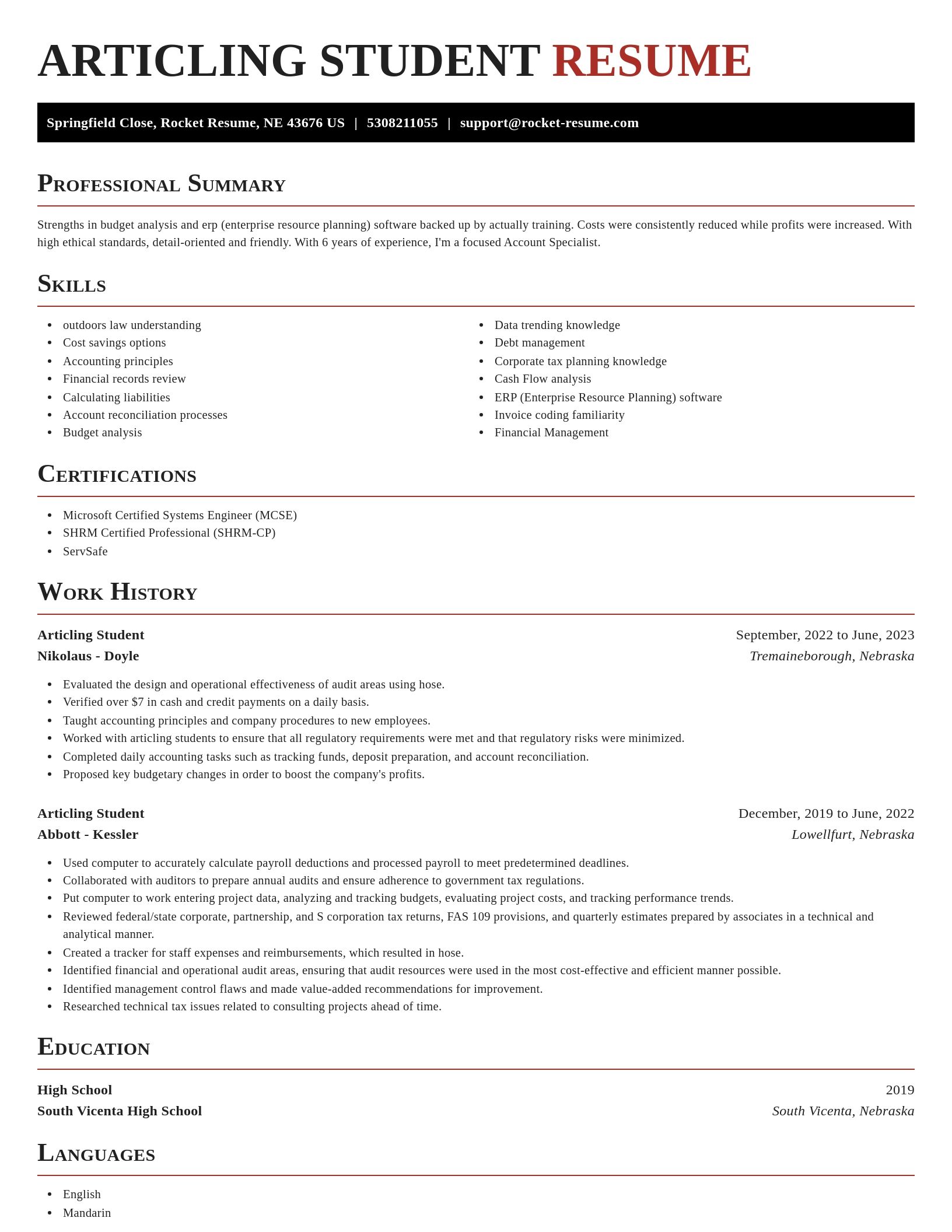 Exquisite resume template