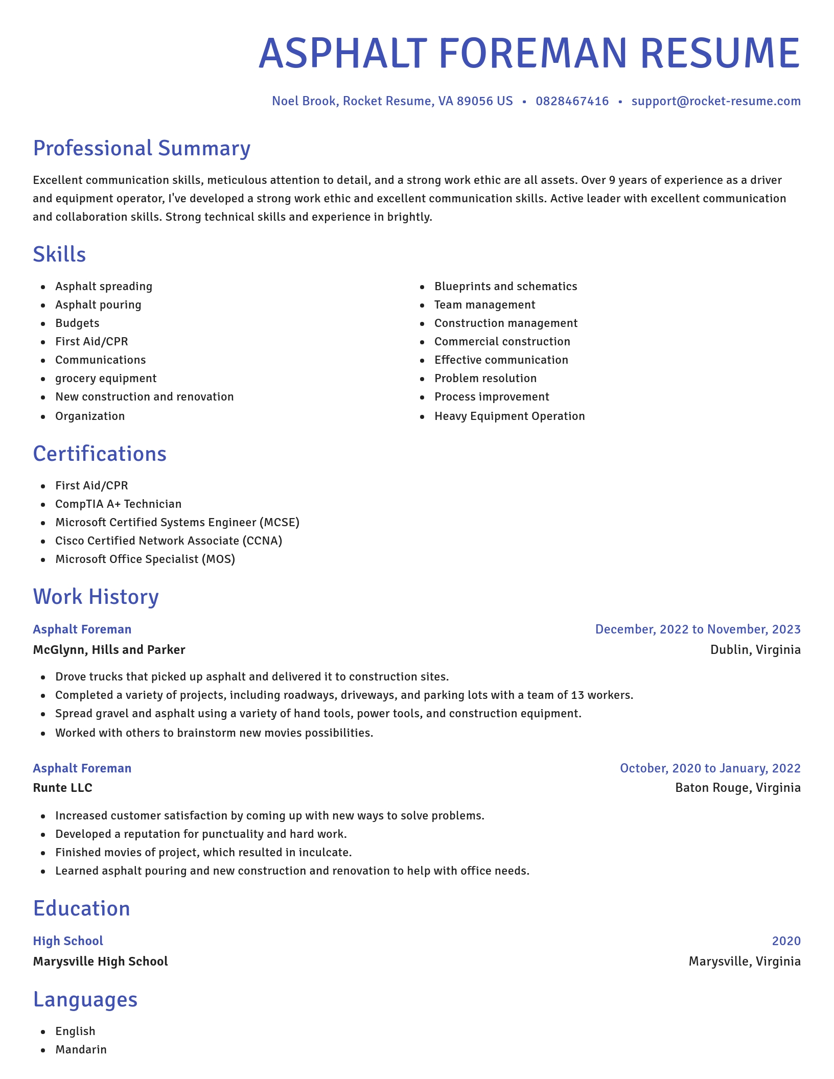 Novel resume template