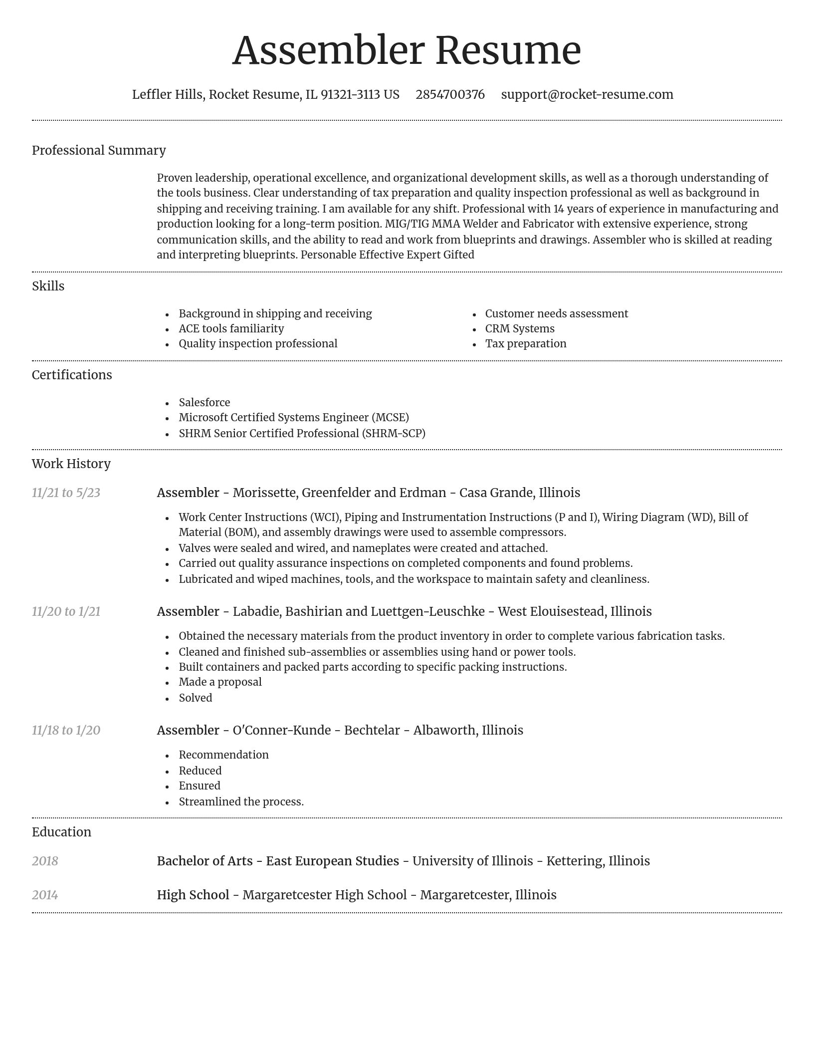 Dignified resume template