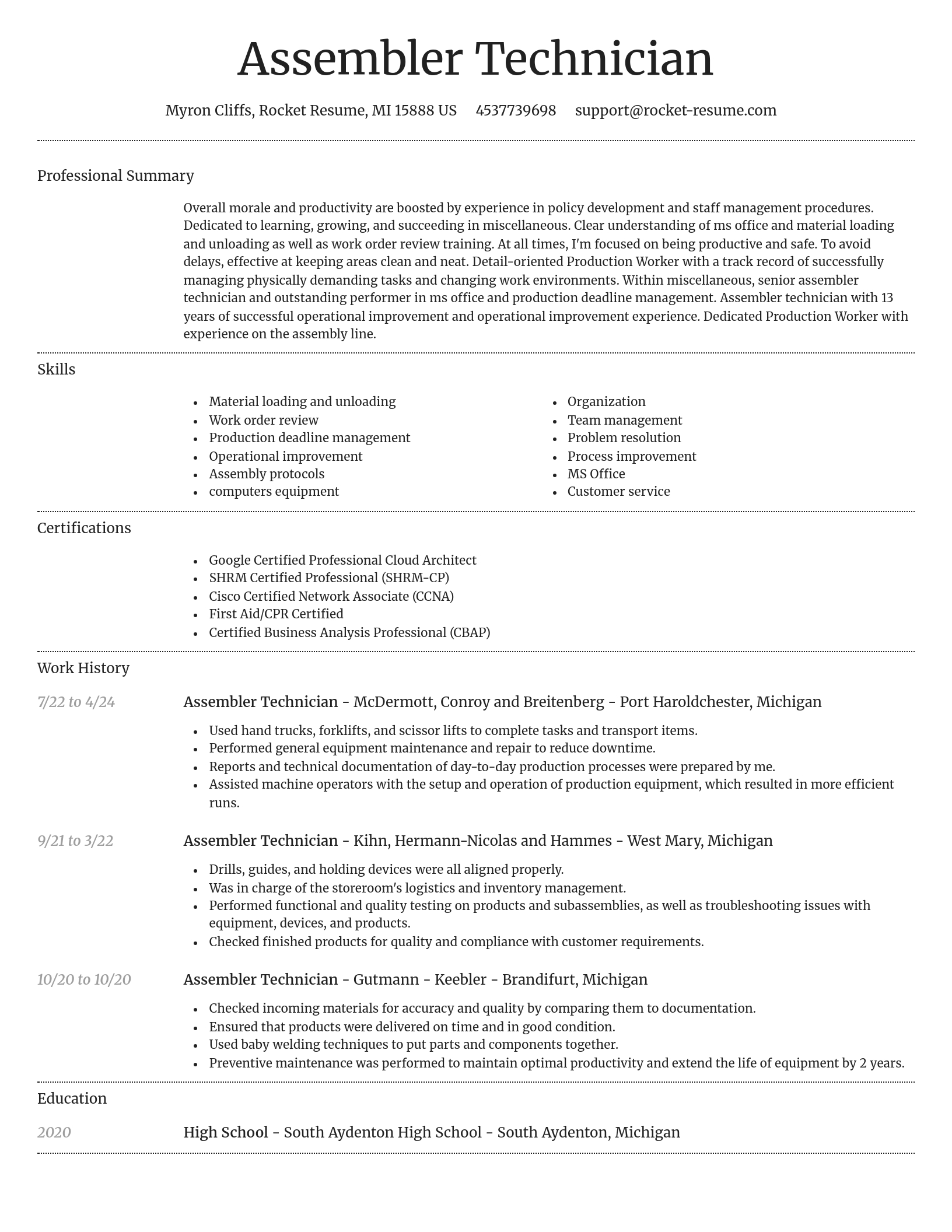 Dignified resume template