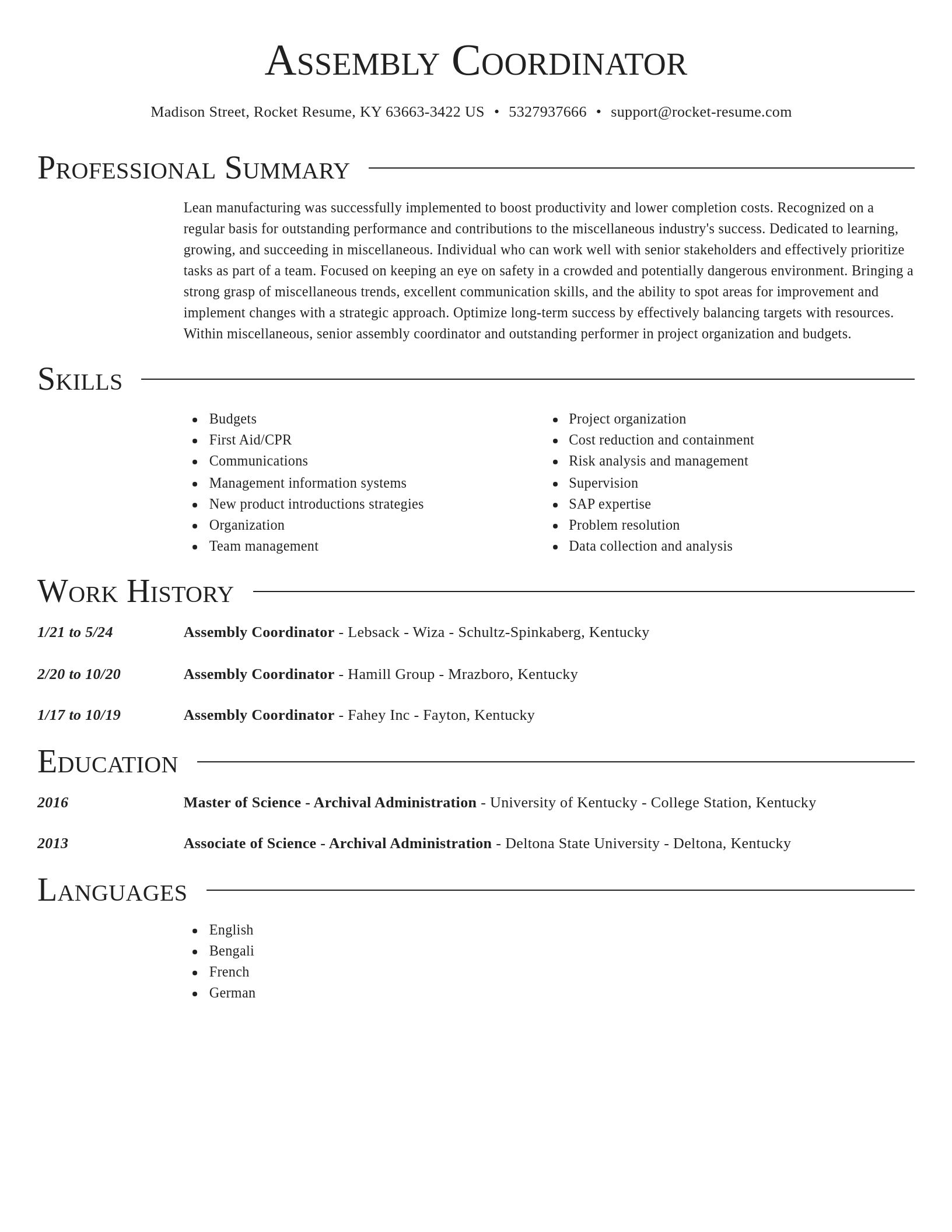 Director resume template