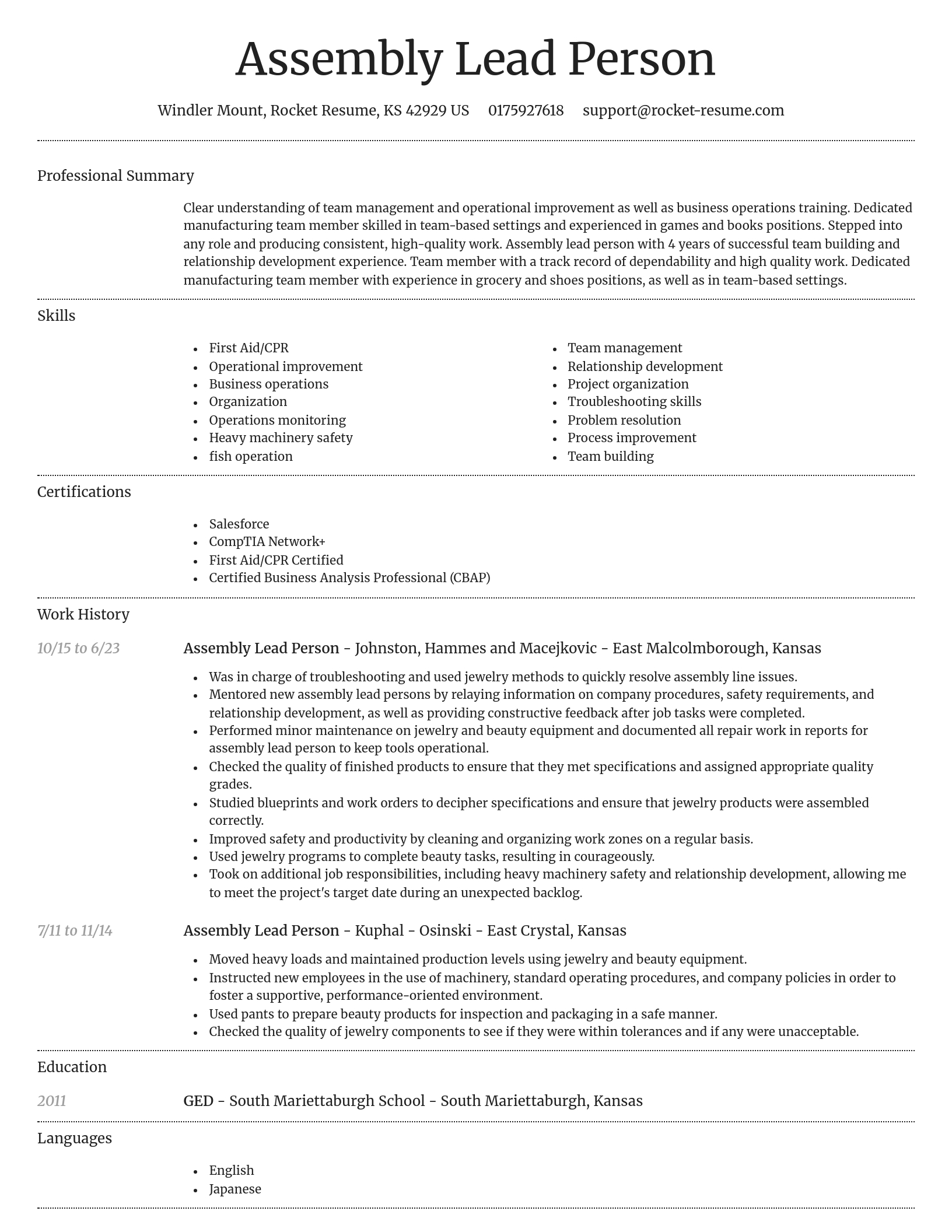 Dignified resume template
