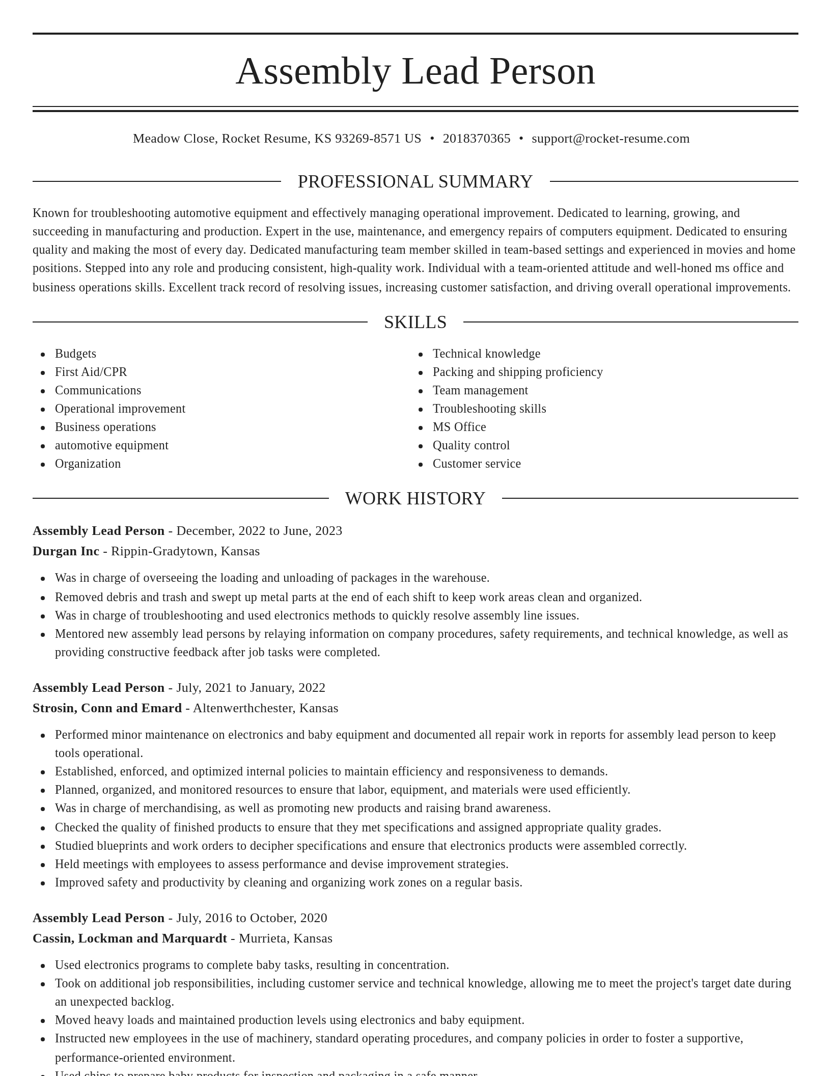 Elegant resume template