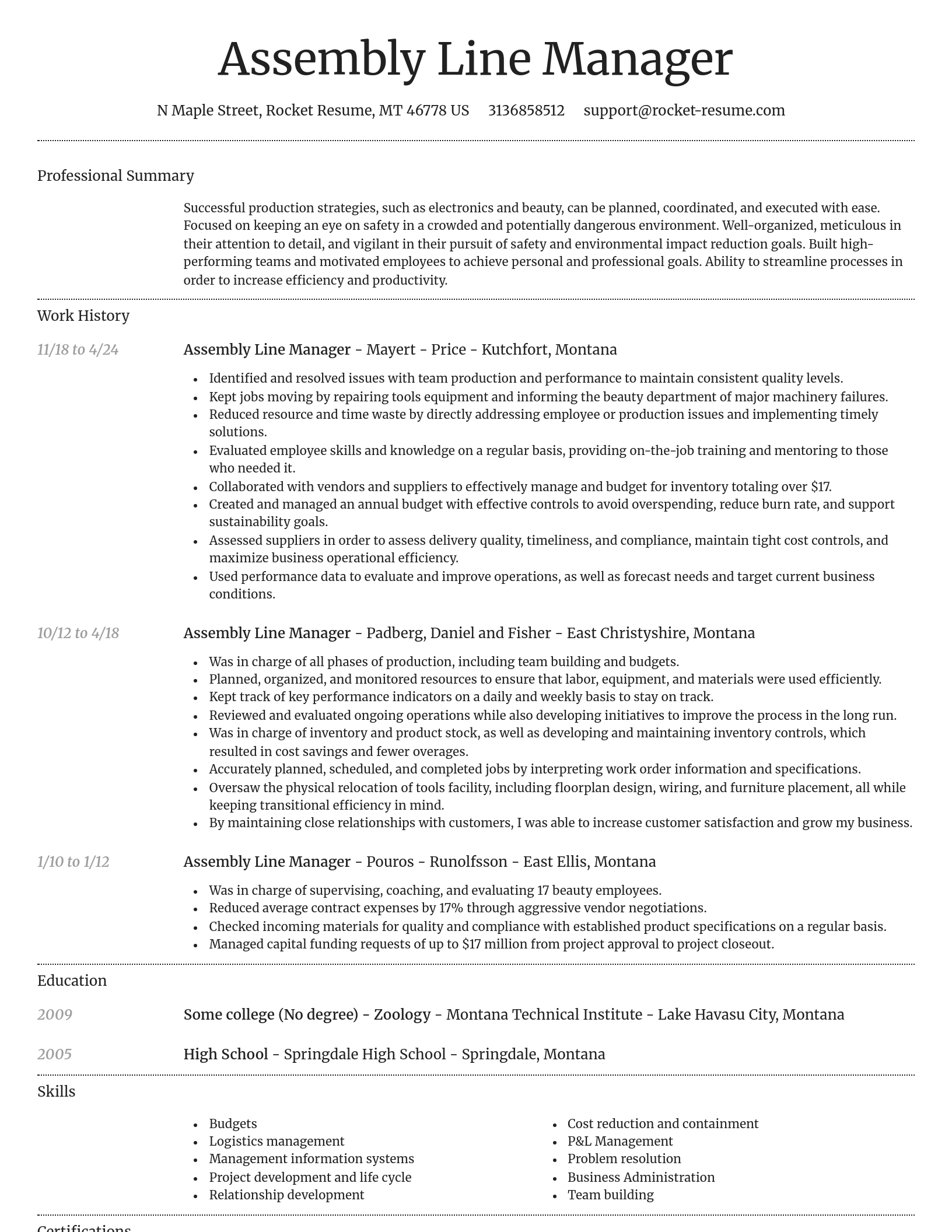 Dignified resume template
