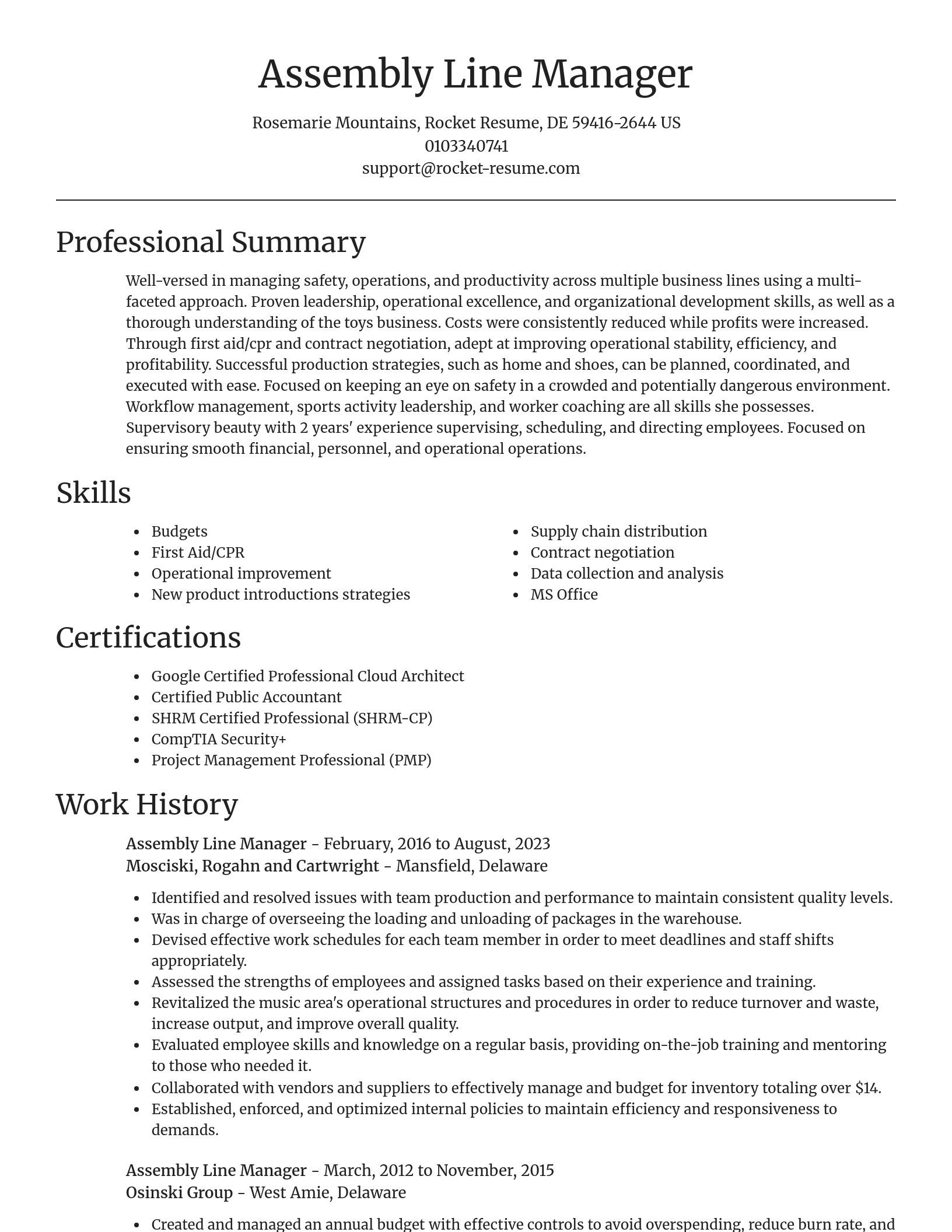 Focal Point resume template