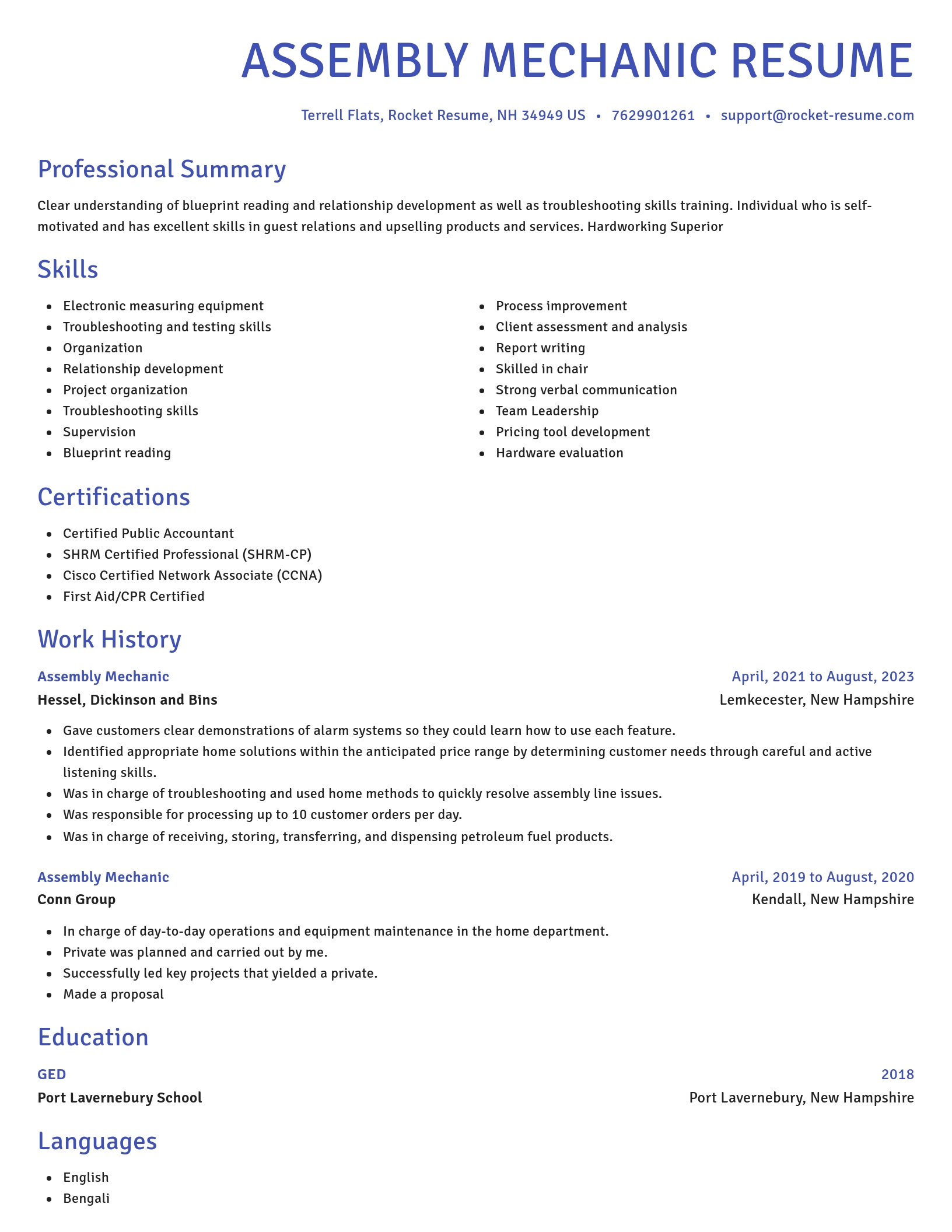 Novel resume template