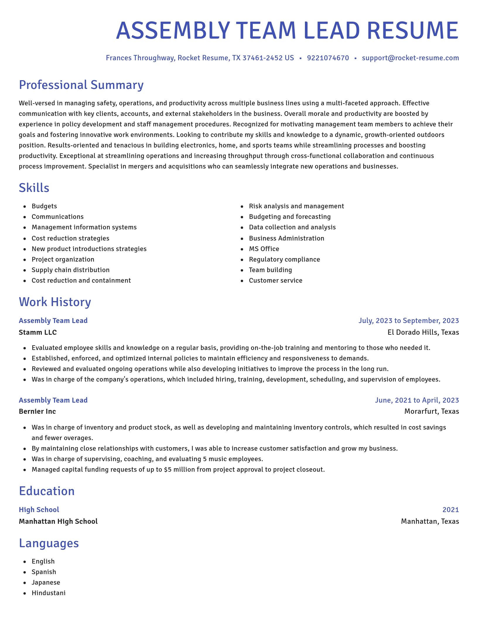Novel resume template