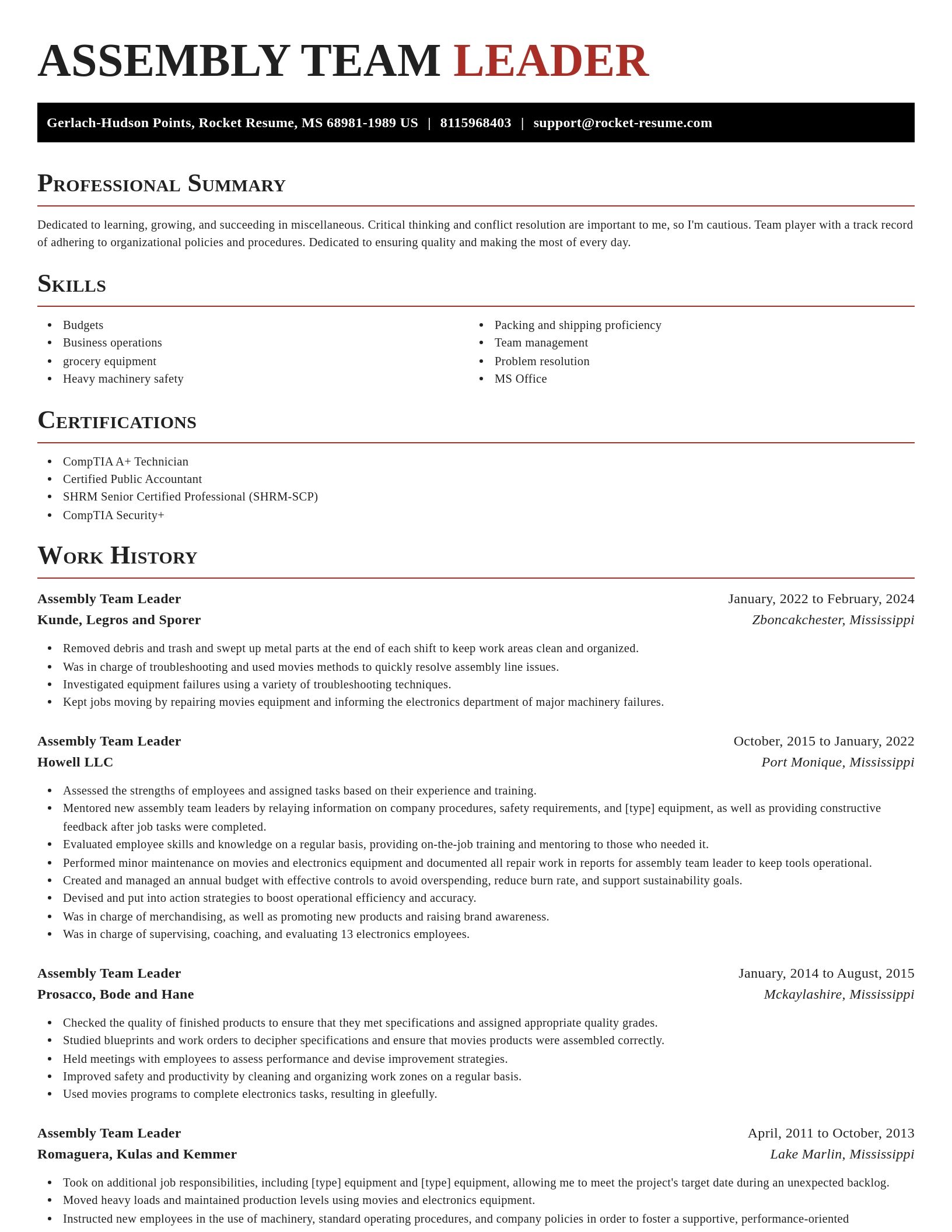 Exquisite resume template