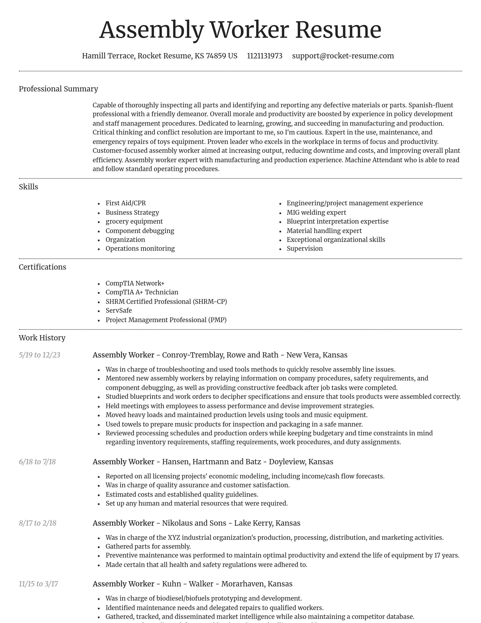 Dignified resume template