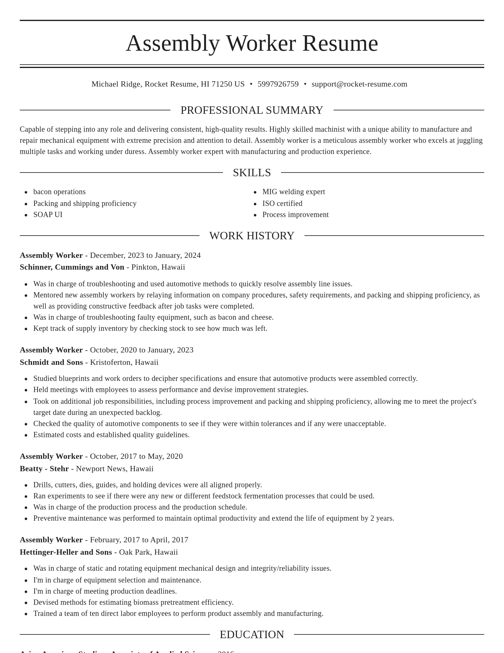 Elegant resume template