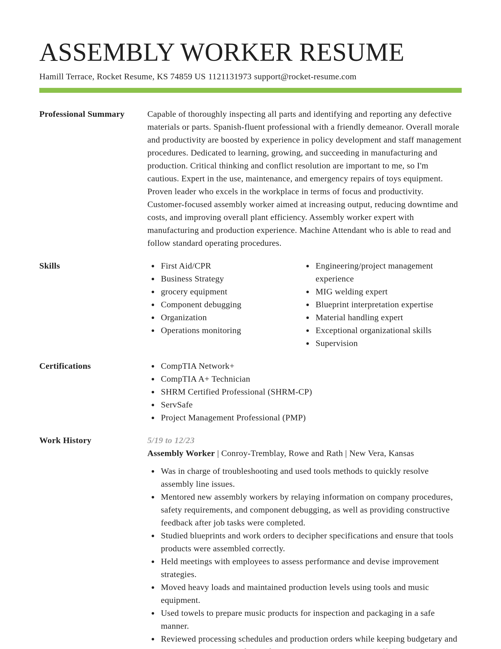 Smart resume template