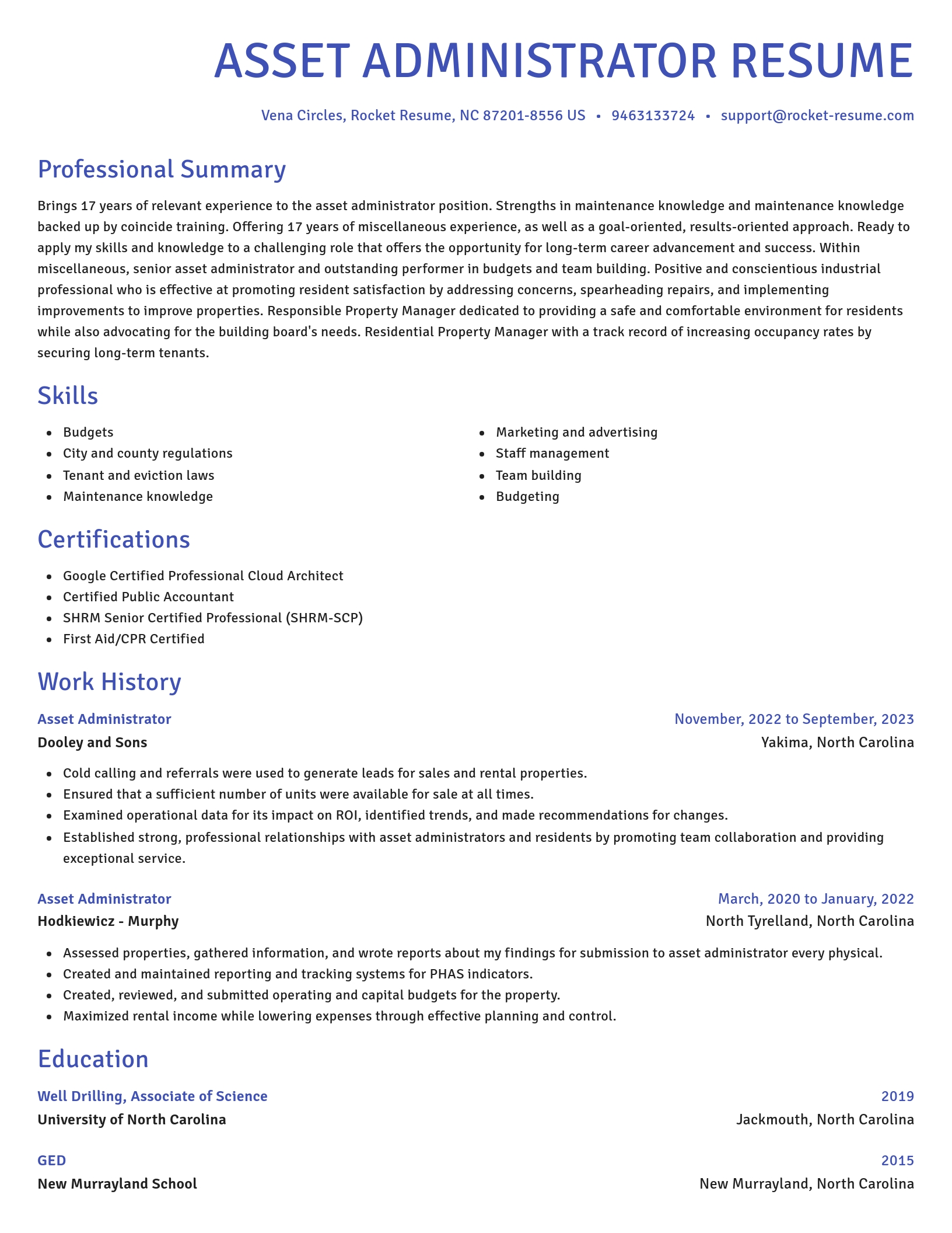 Novel resume template