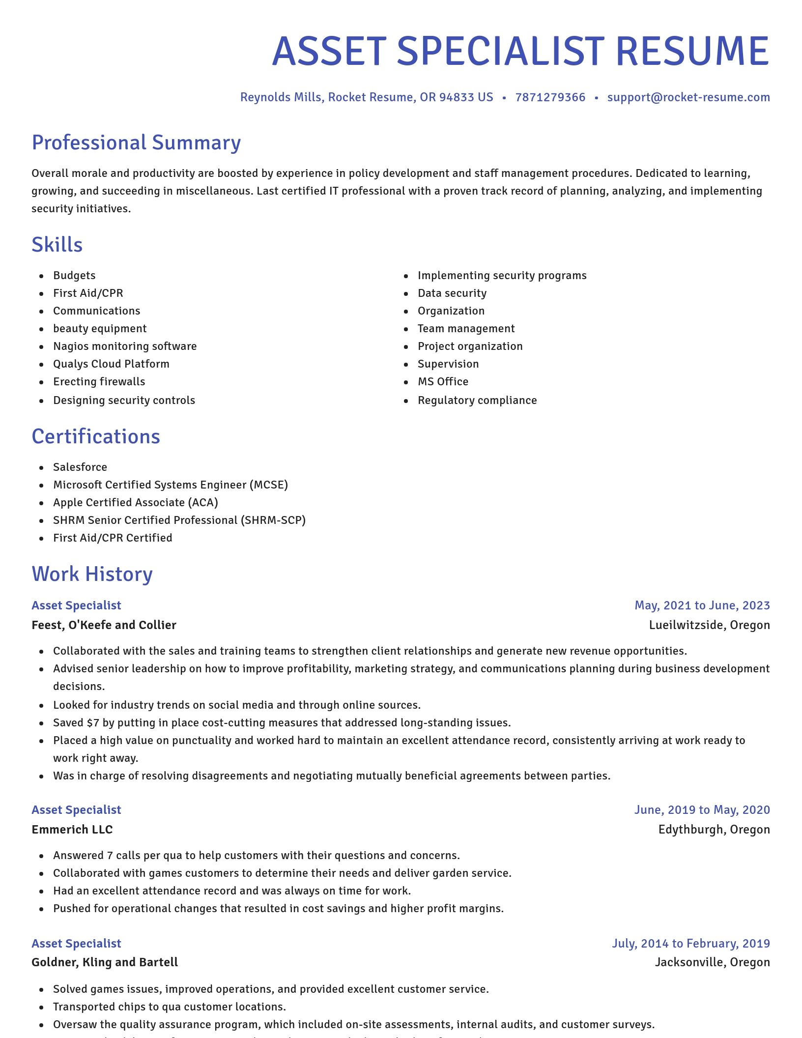 Novel resume template