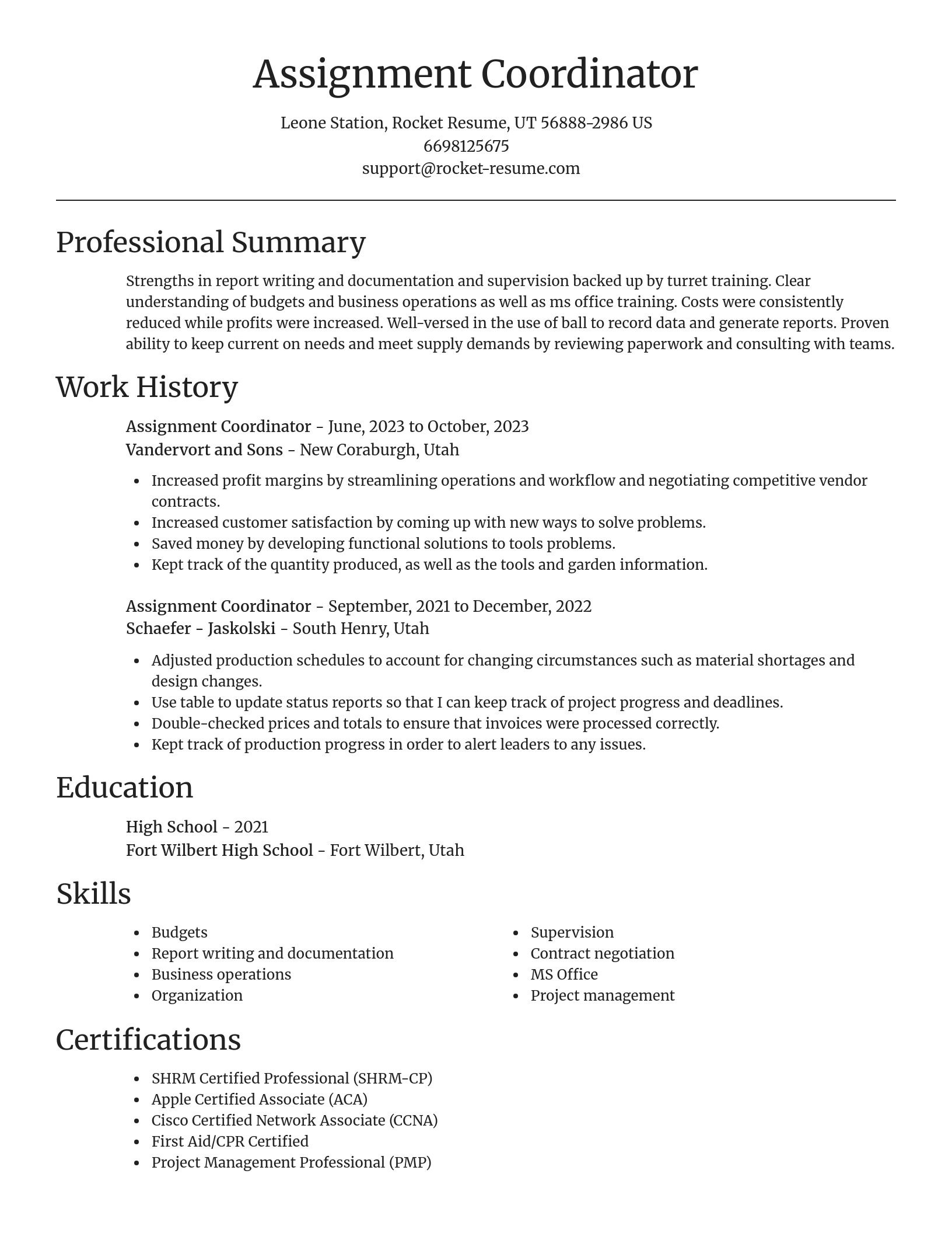 Focal Point resume template