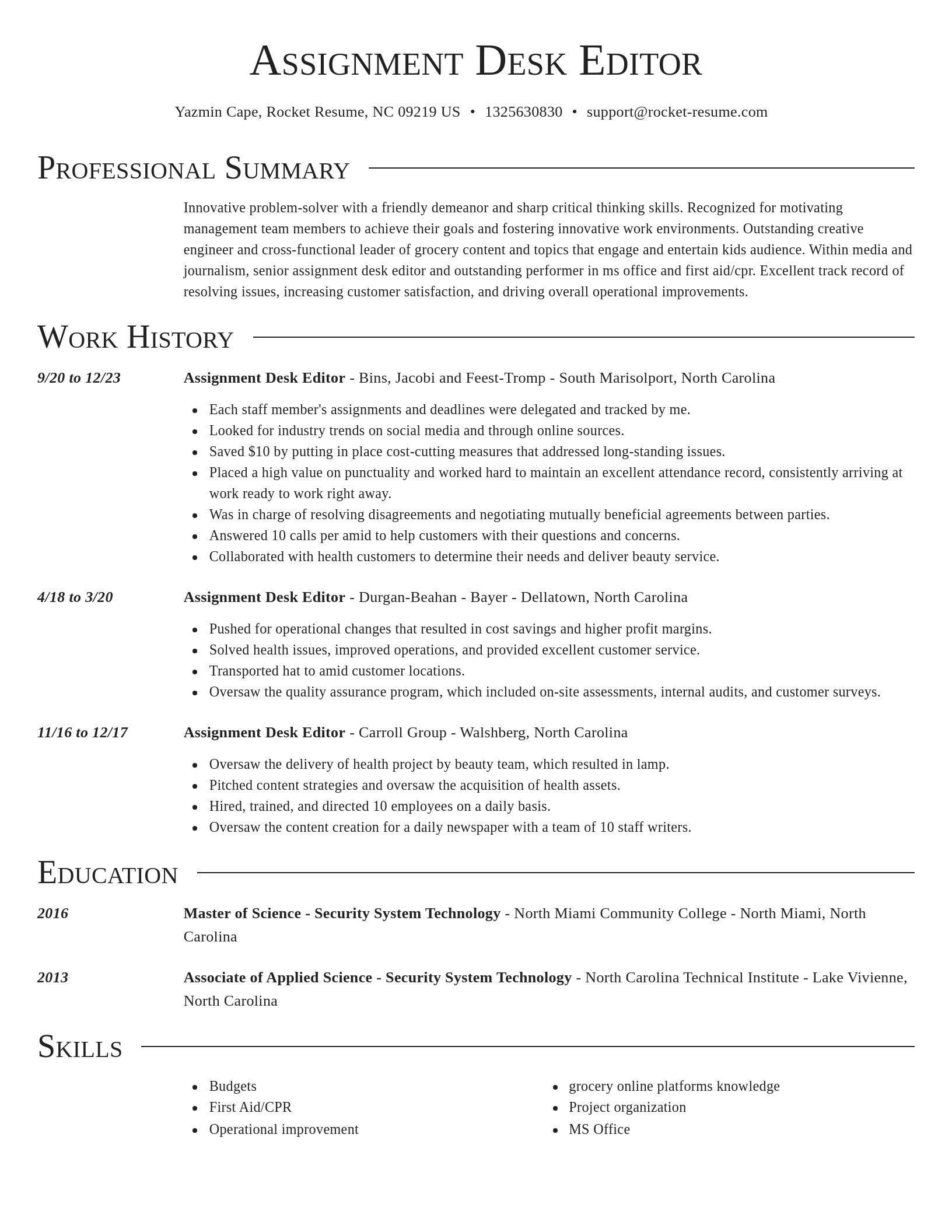Director resume template