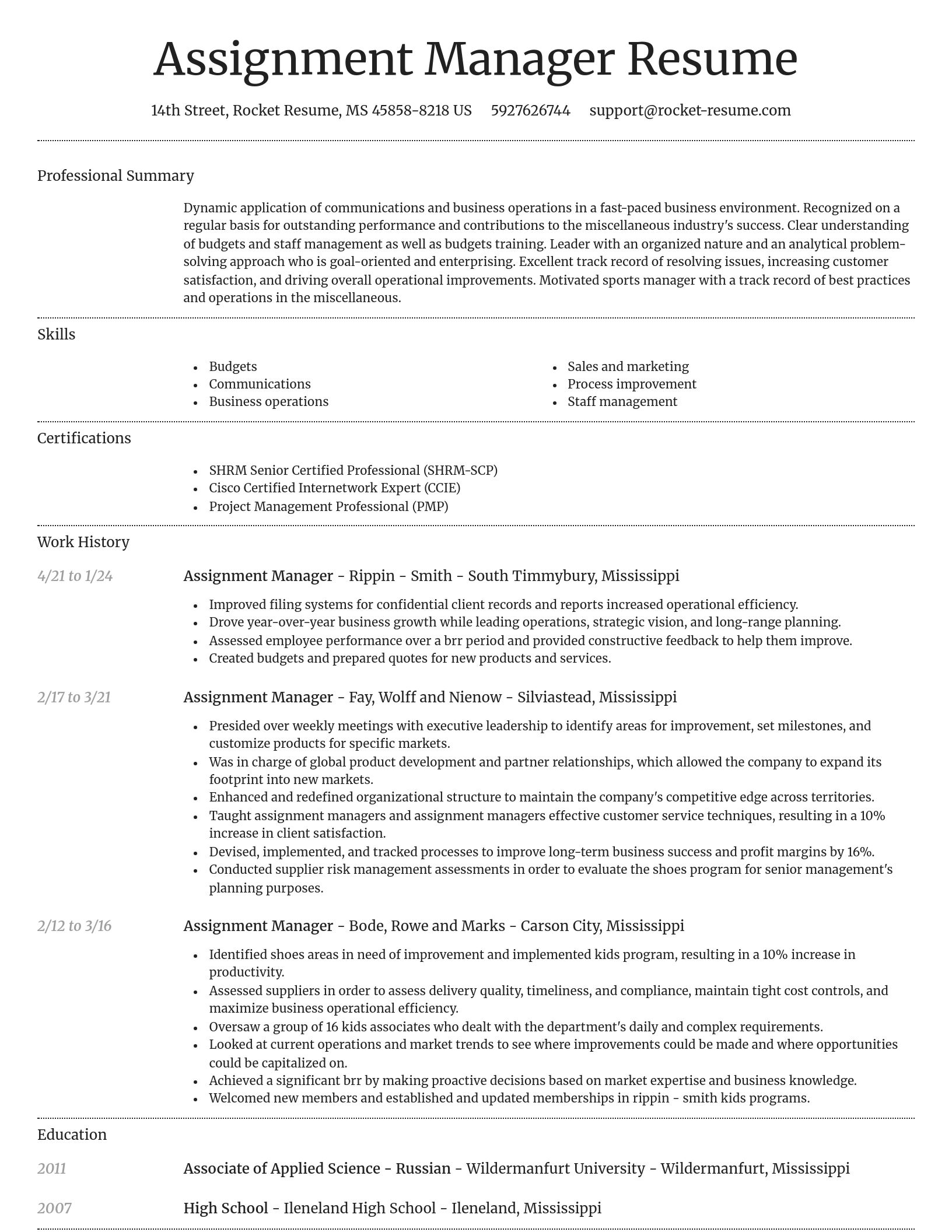 Dignified resume template