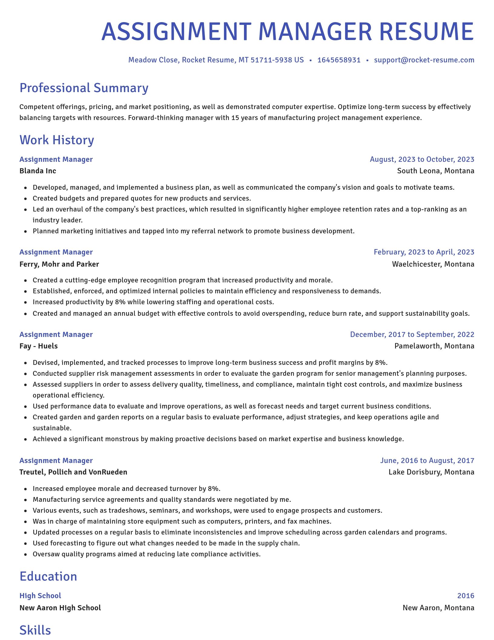 Novel resume template
