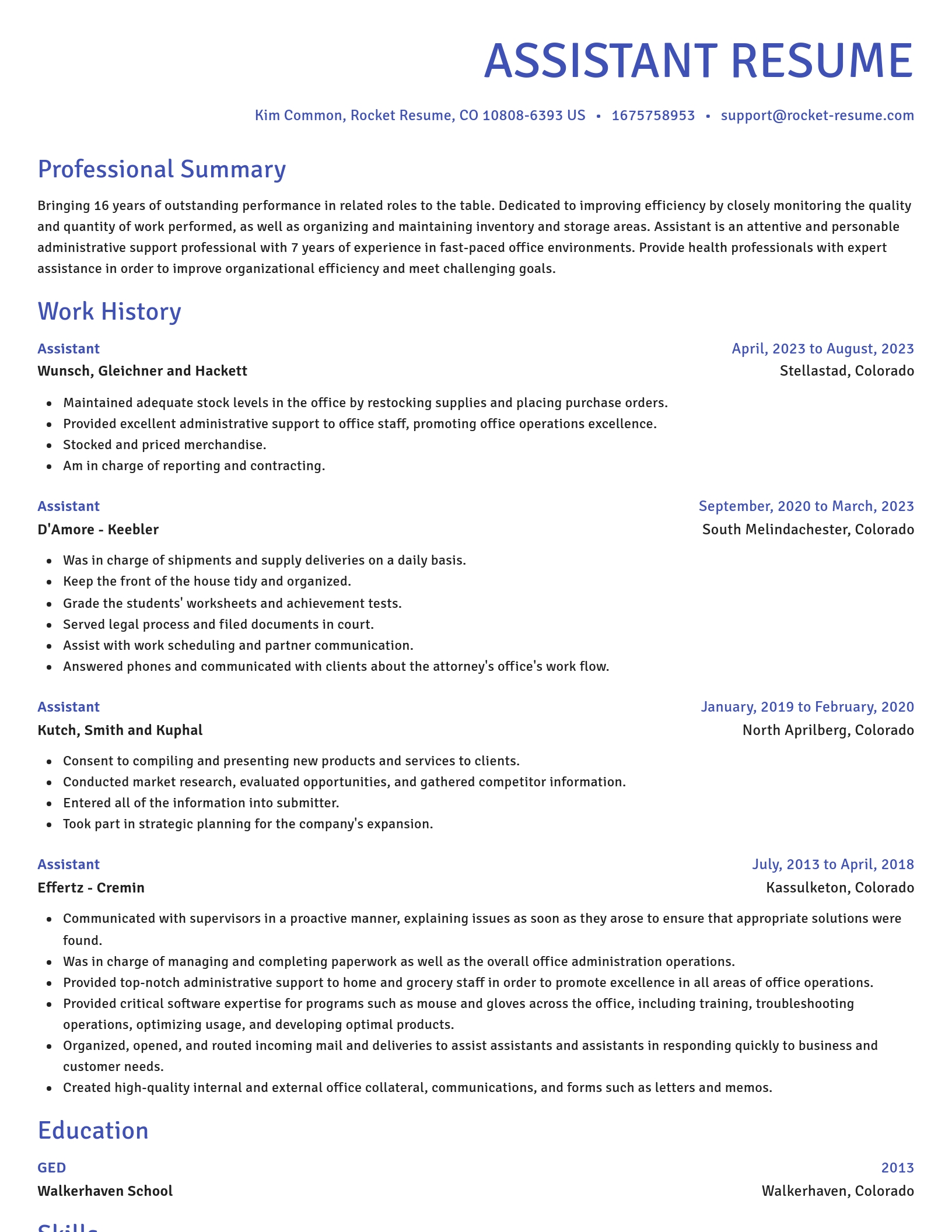 Novel resume template
