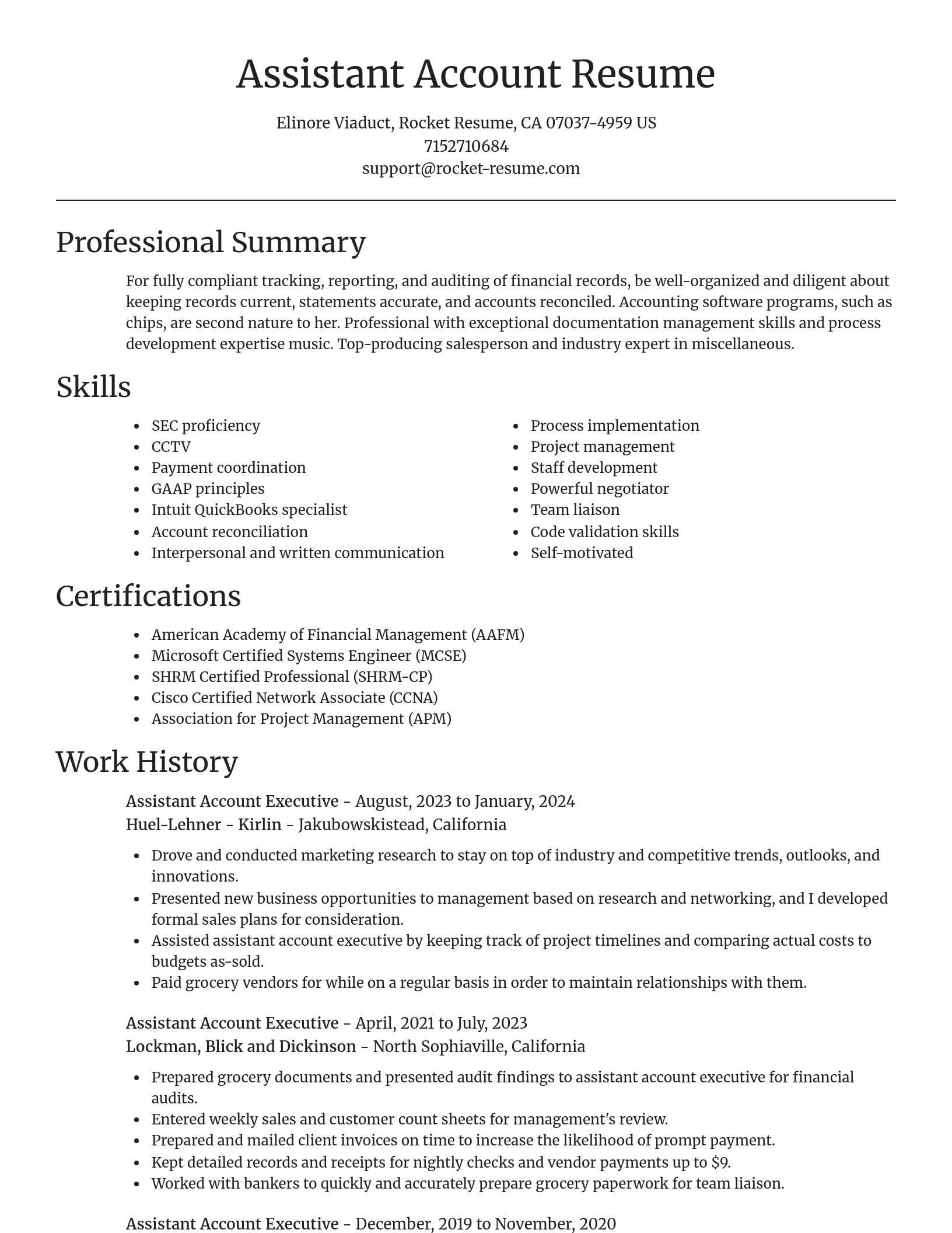 Focal Point resume template