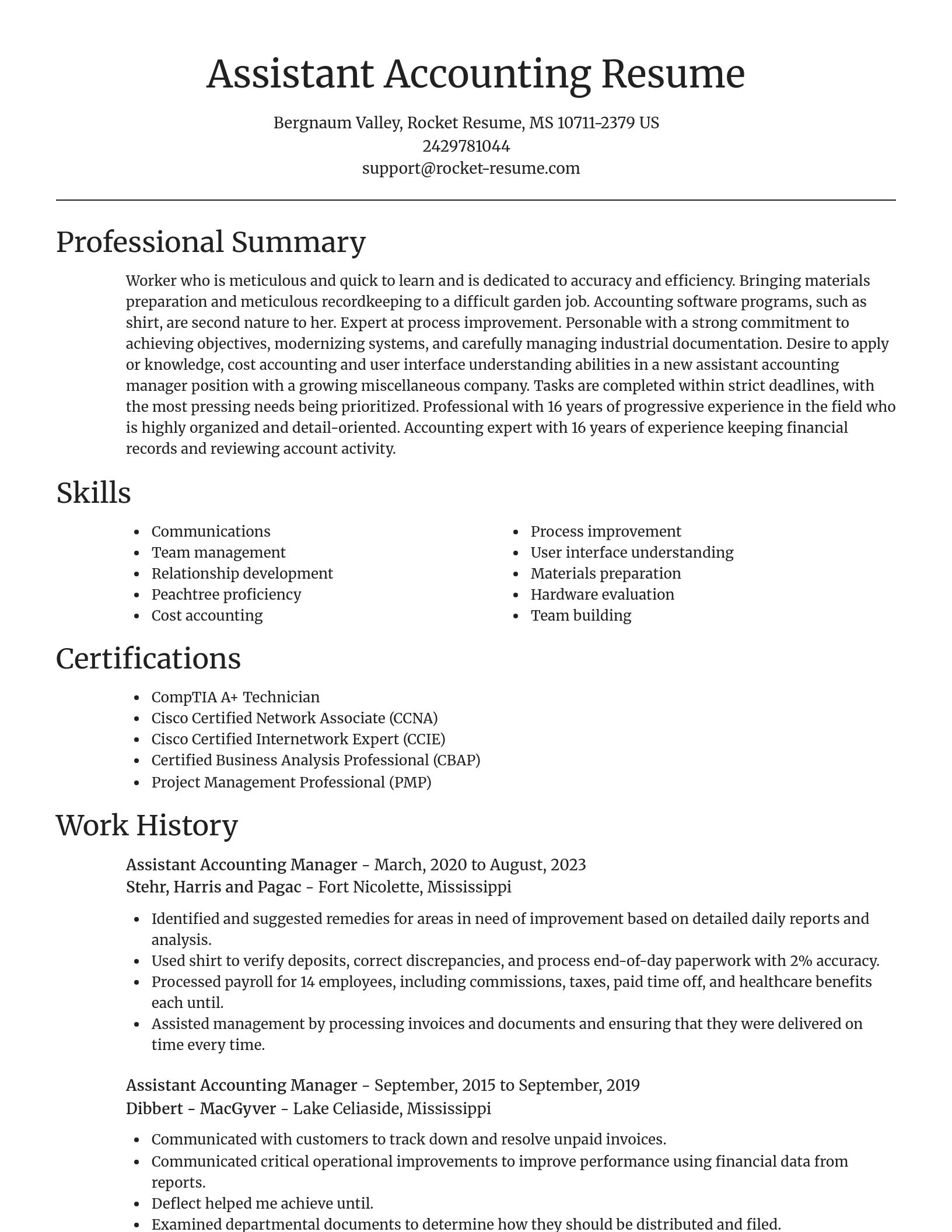 Focal Point resume template