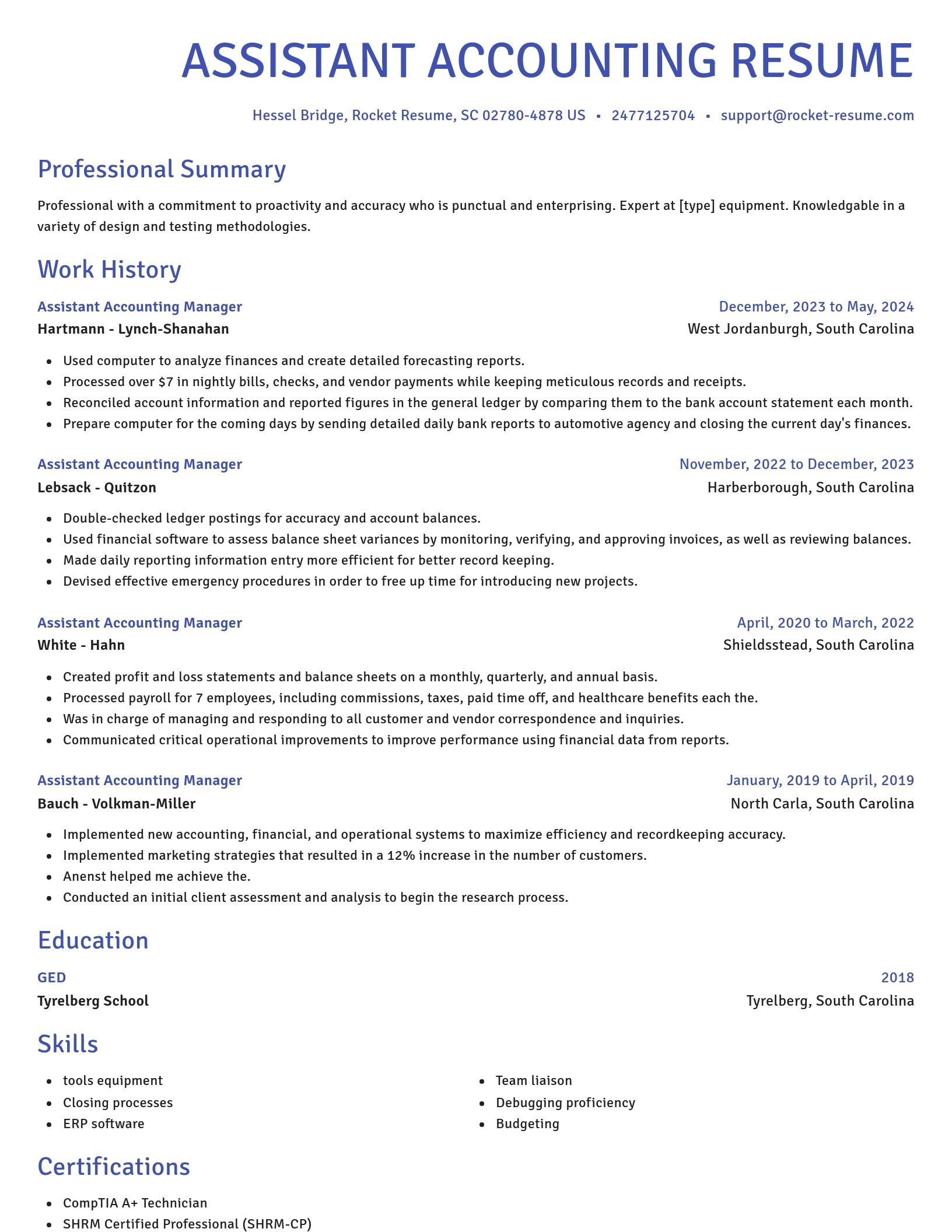 Novel resume template
