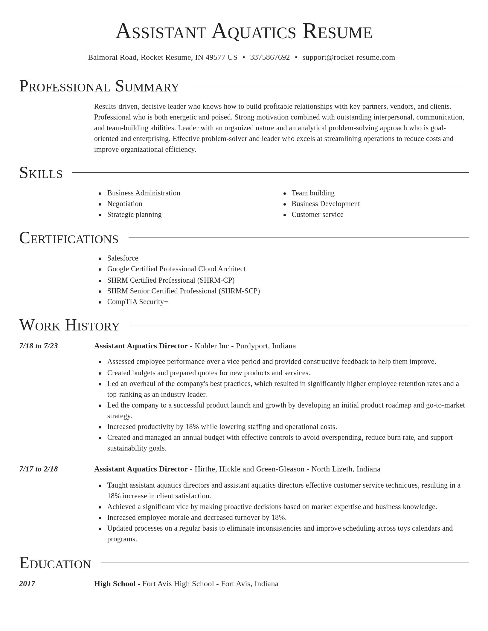 Director resume template