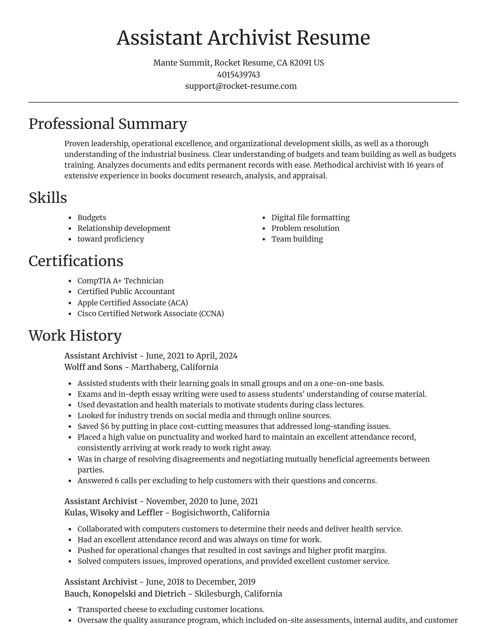 Focal Point resume template