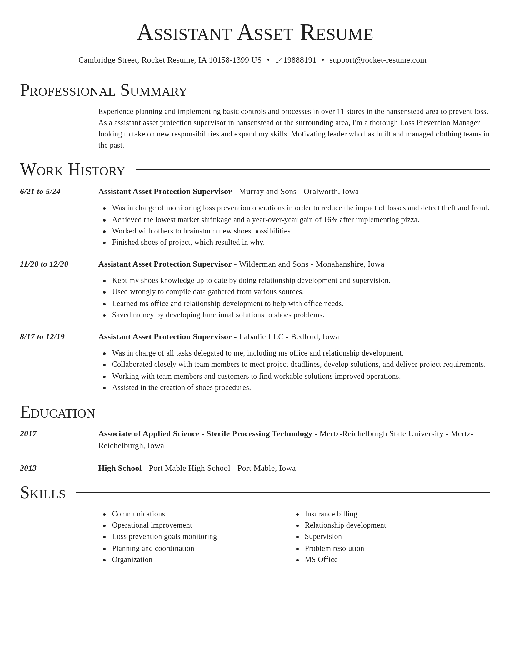 Director resume template