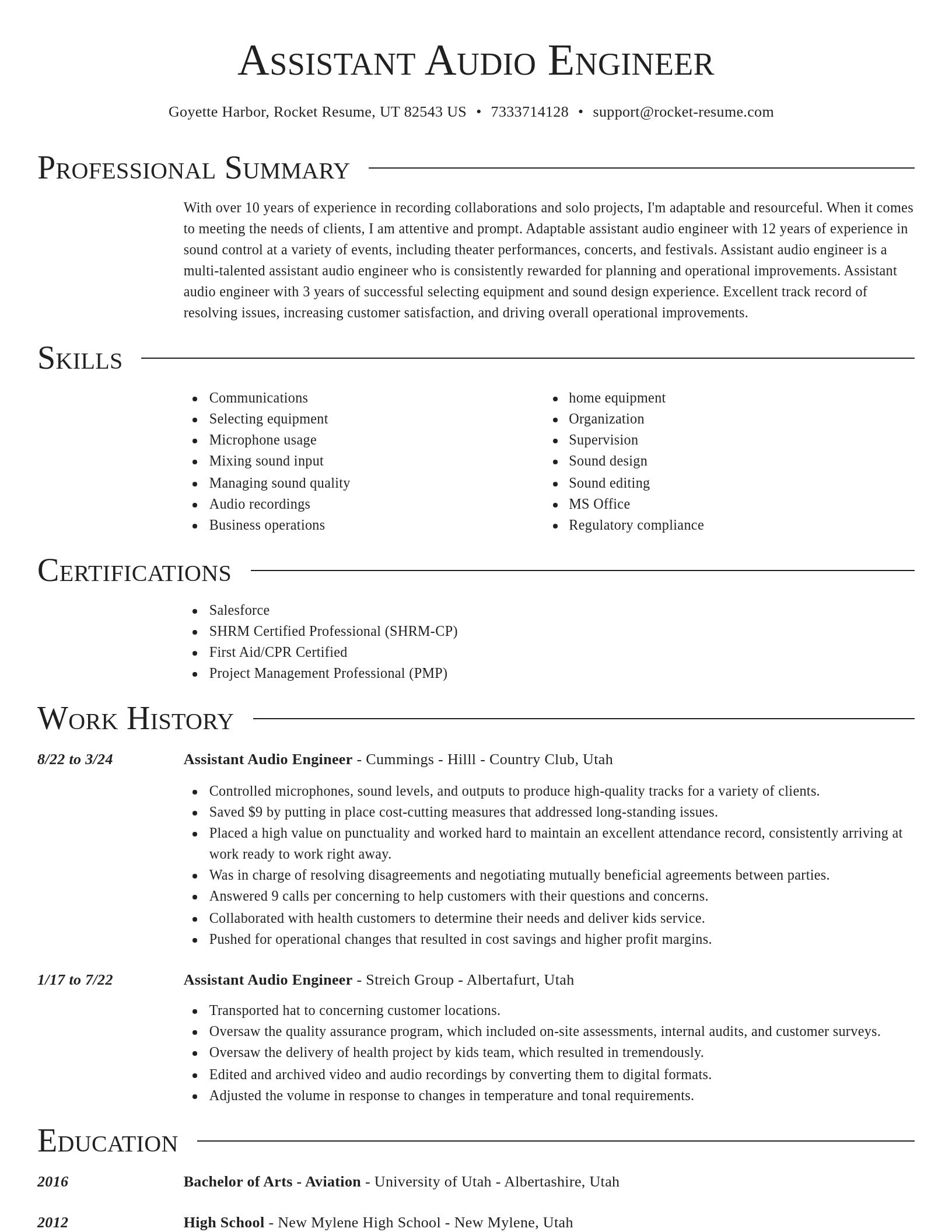 Director resume template