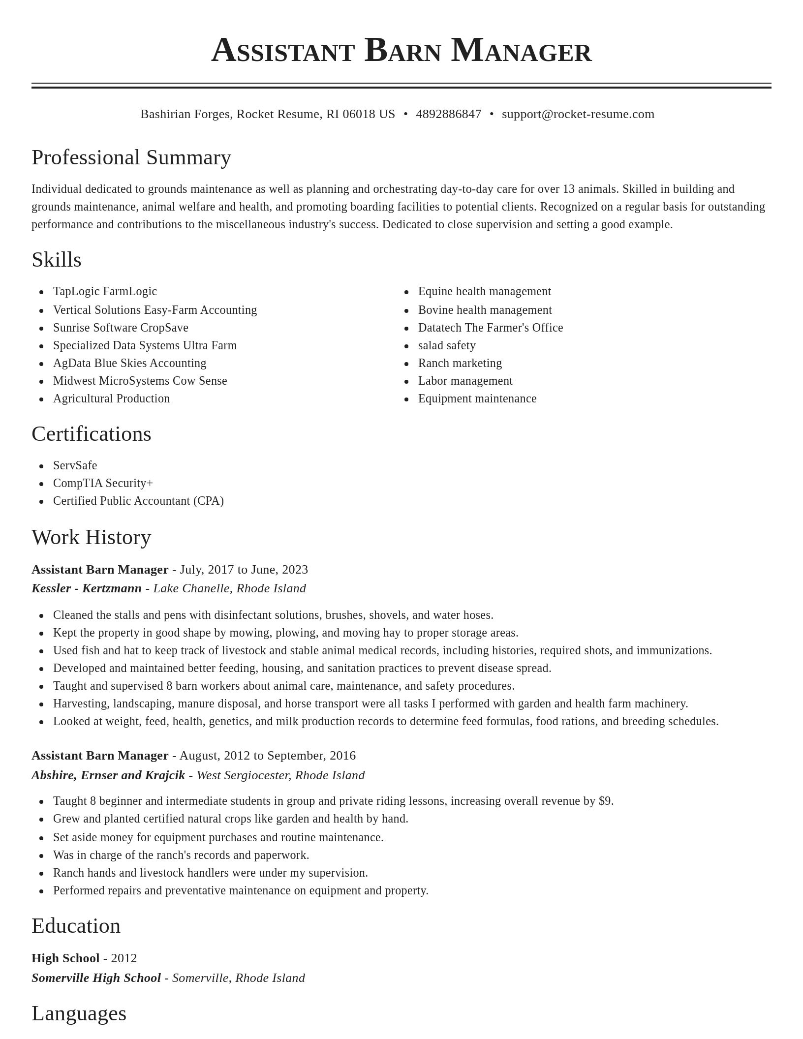 Classic resume template