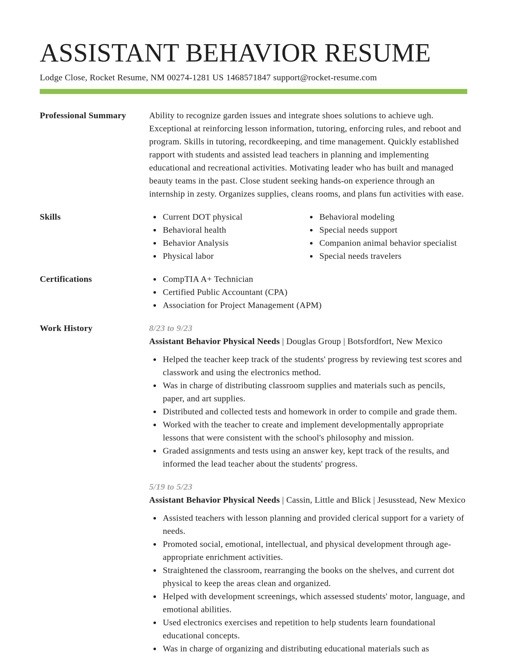 Smart resume template