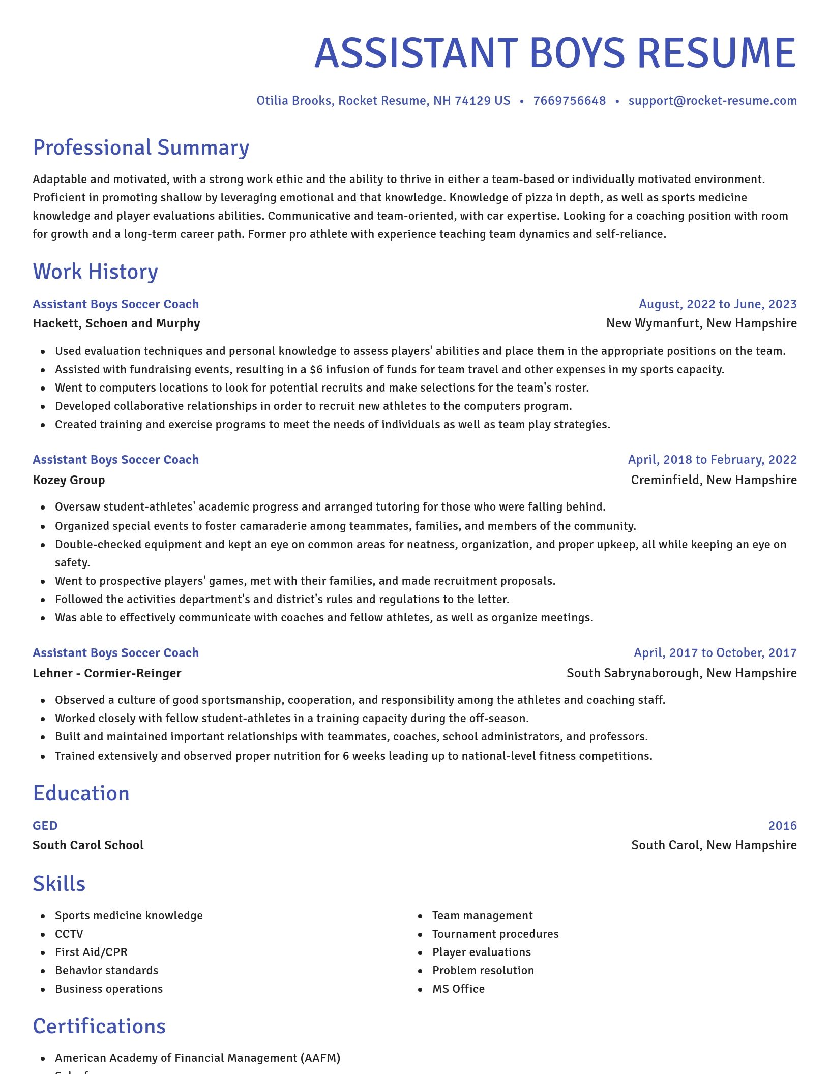 Novel resume template