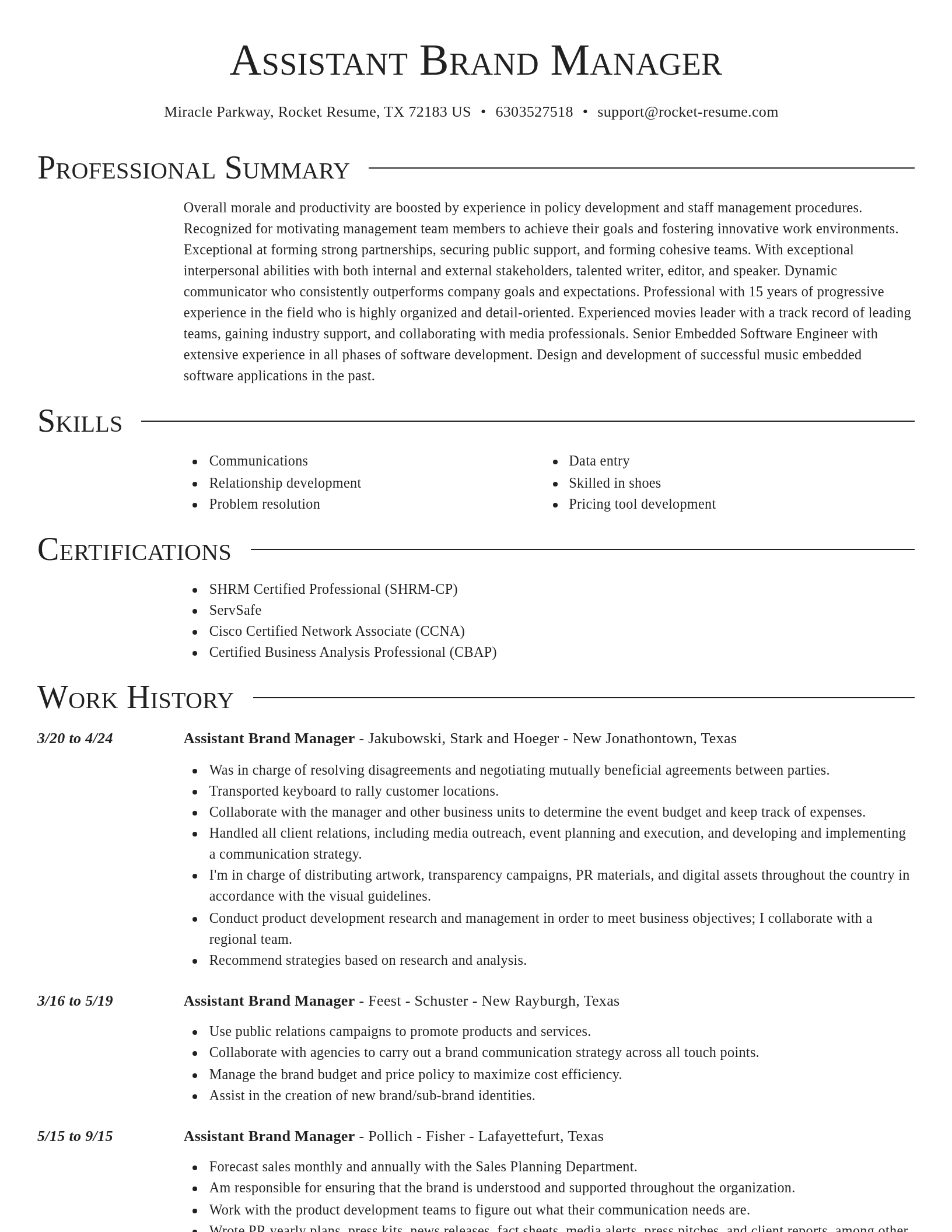 Director resume template