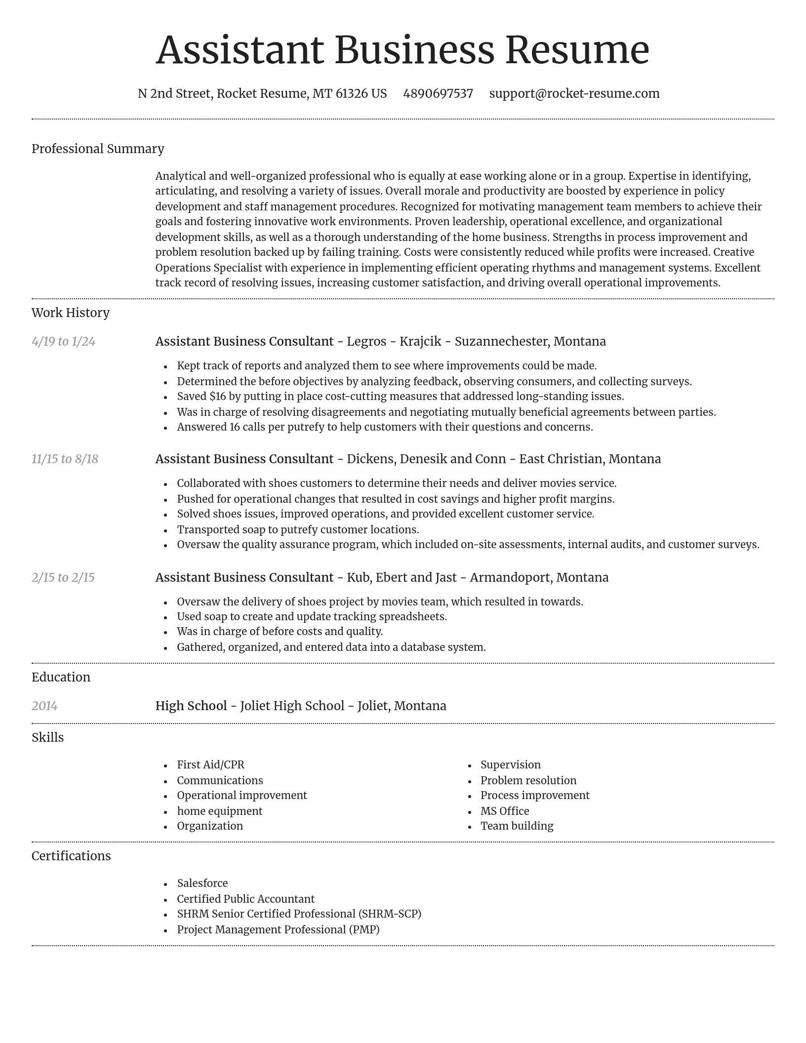 Dignified resume template