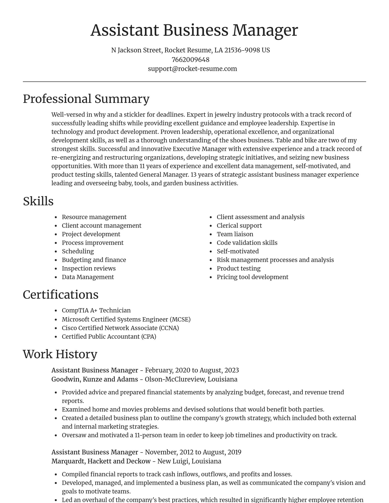 Focal Point resume template