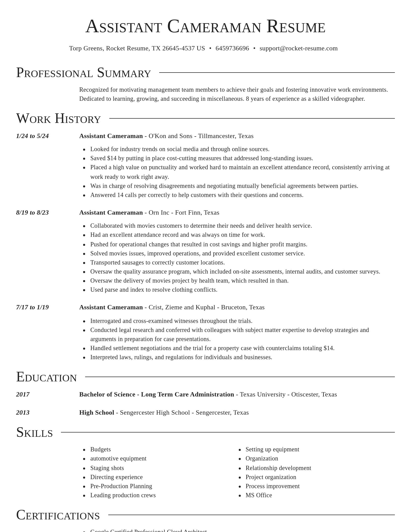 Director resume template