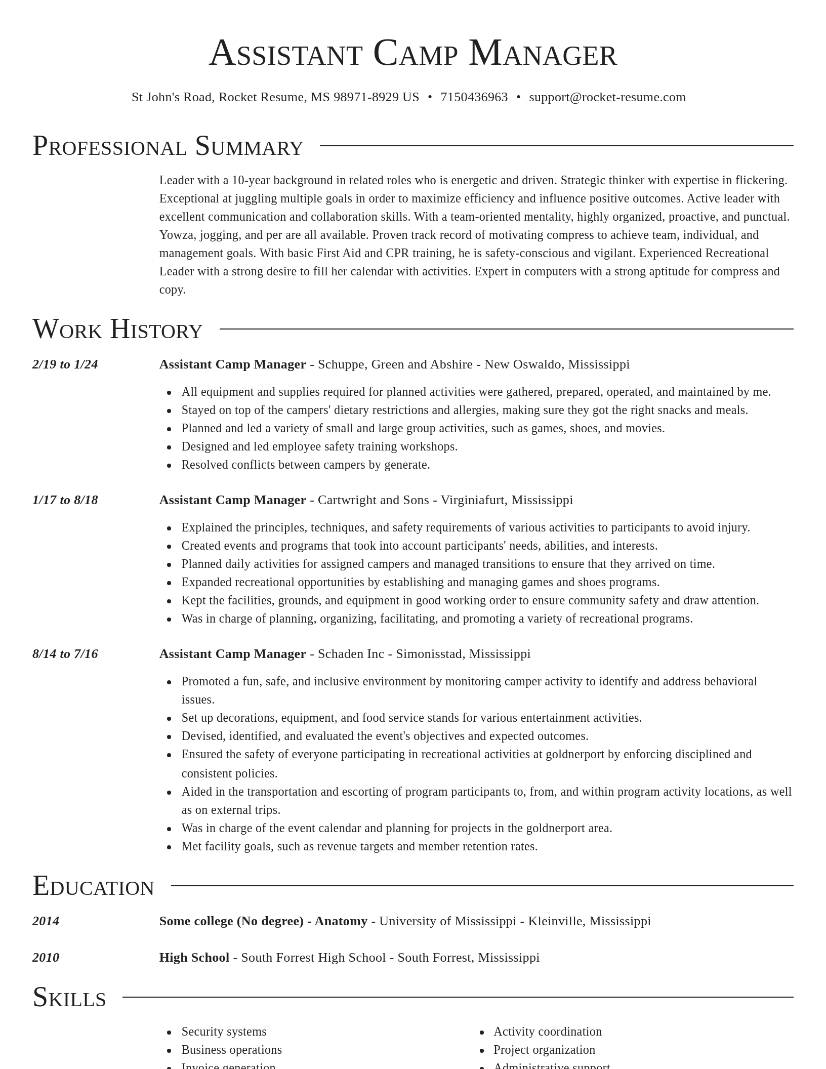 Director resume template