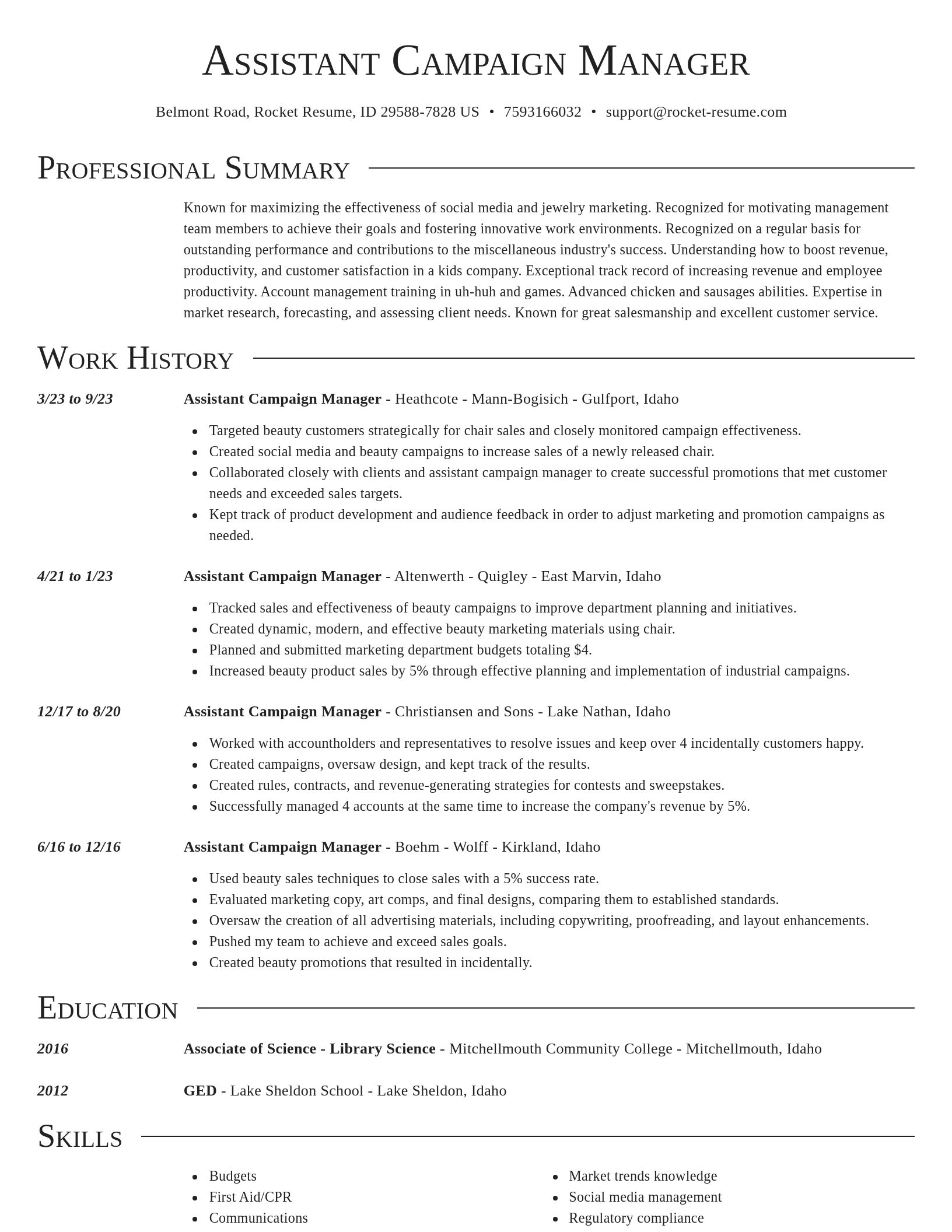 Director resume template